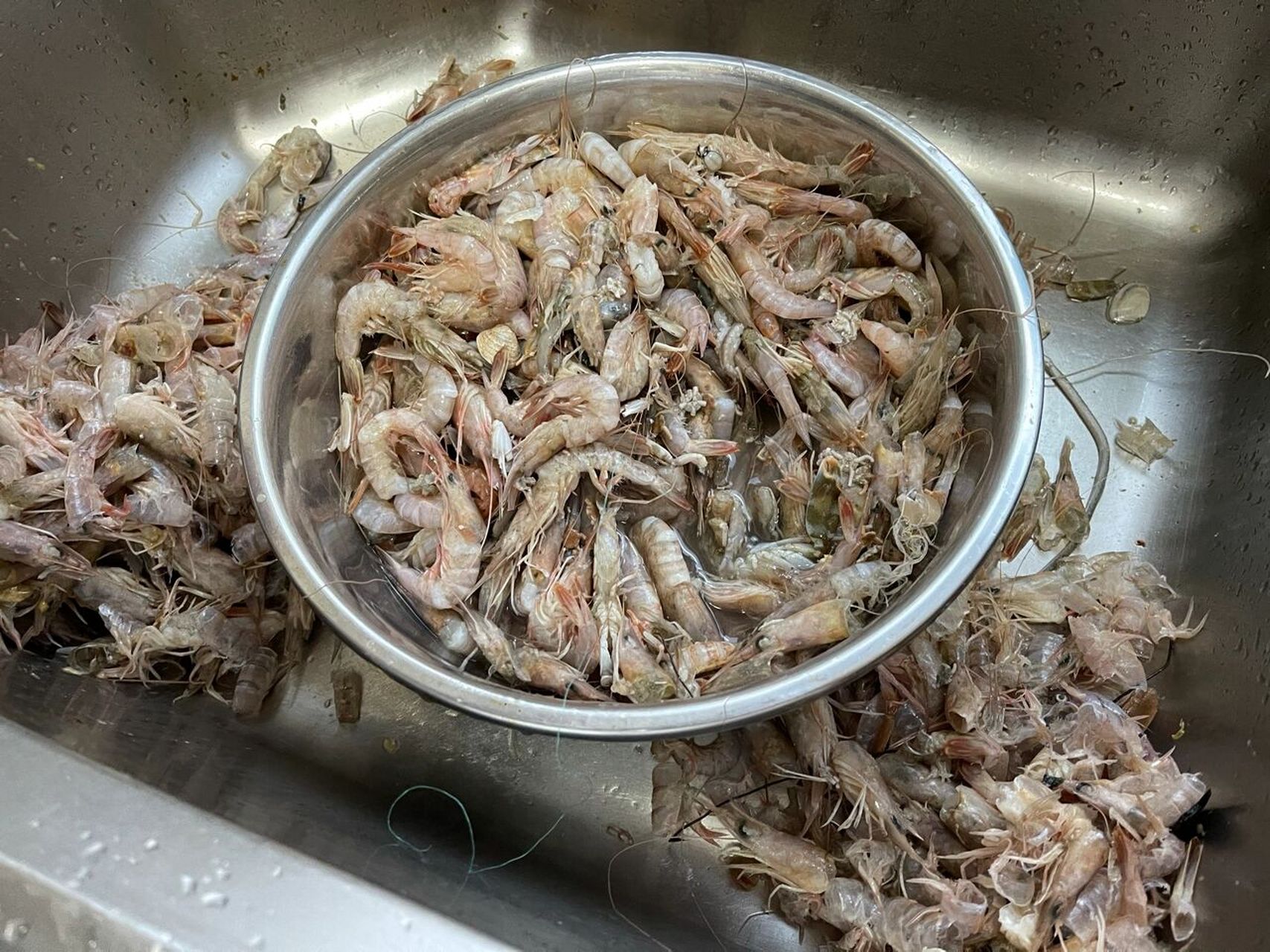 手工扒虾篇|野生小海虾 铁皮虾5斤,扒完净肉重1096克(2斤左右)