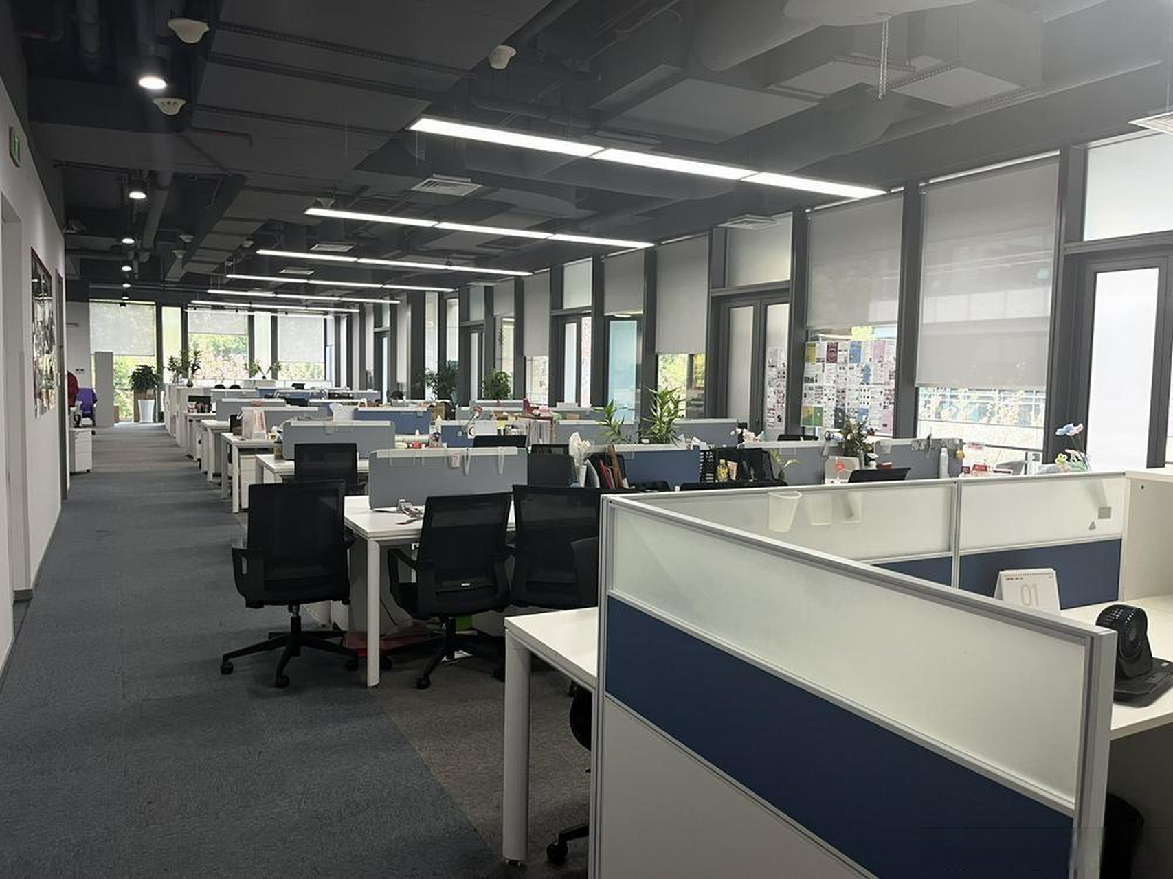 实探倒闭传言中的虎头局上海办公室【实探"倒闭传言"中的虎头局上海