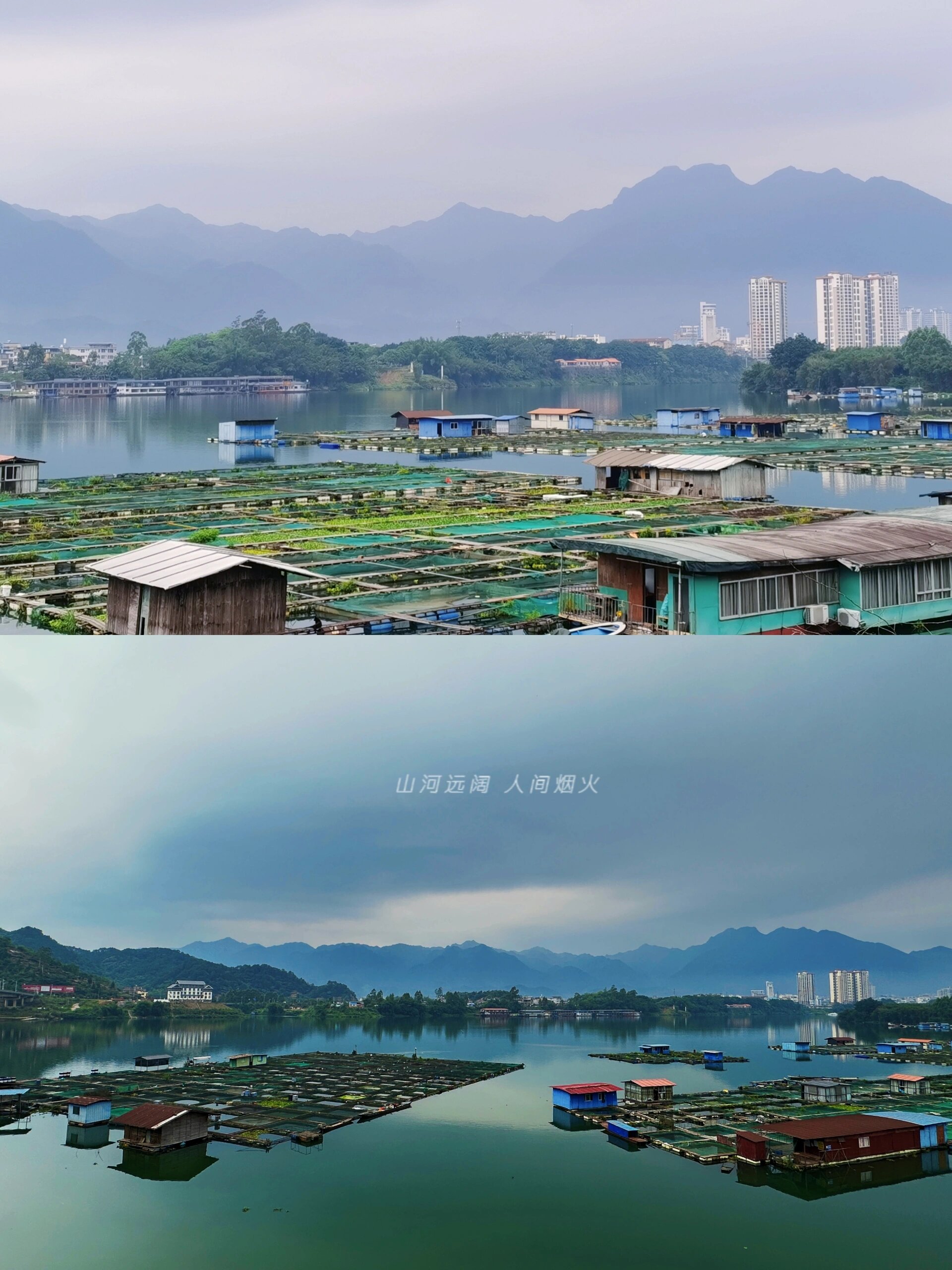 昭平 南山茶海