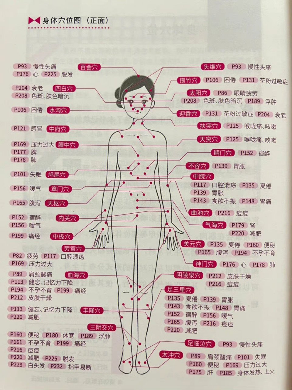 人体全身血位图及作用图片