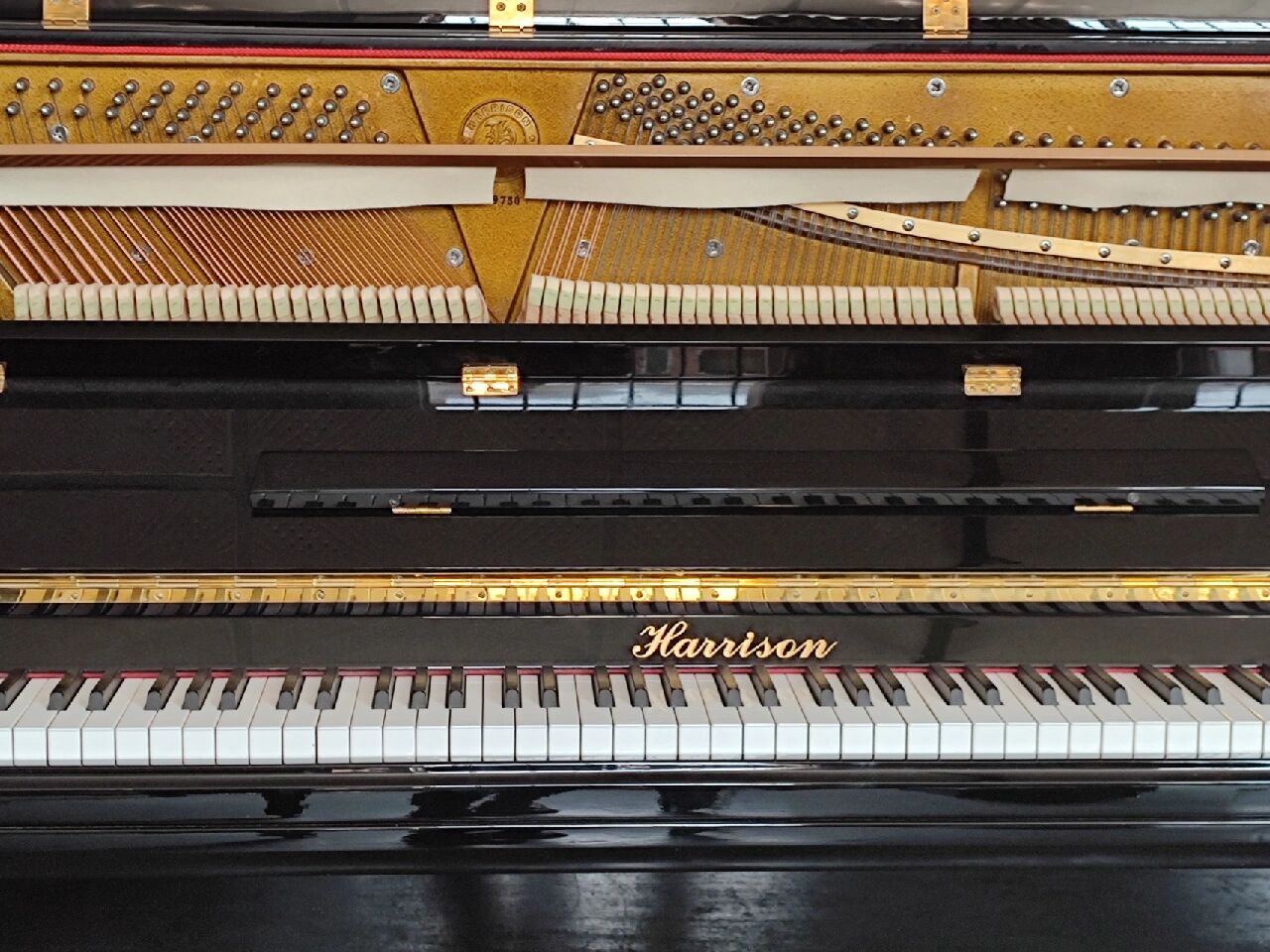 【harrison哈利臣】钢琴 广东哈利臣钢琴有限公司是经省外经委批准而