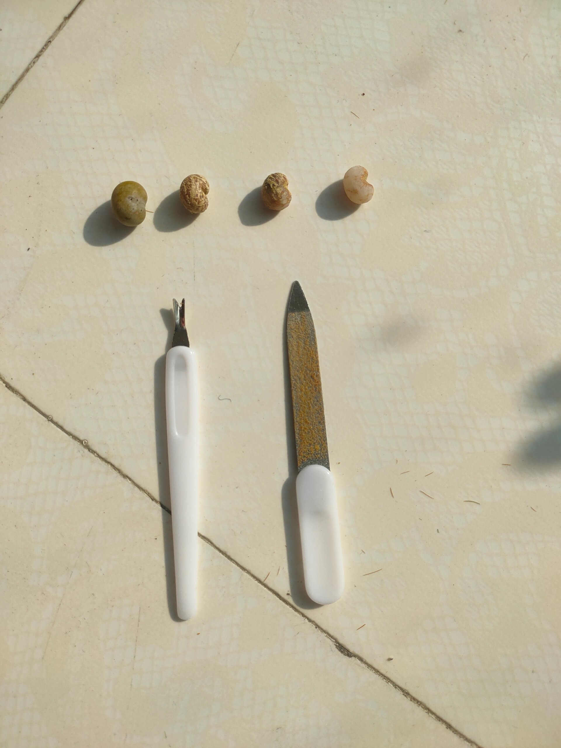 棕榈籽手串浅试