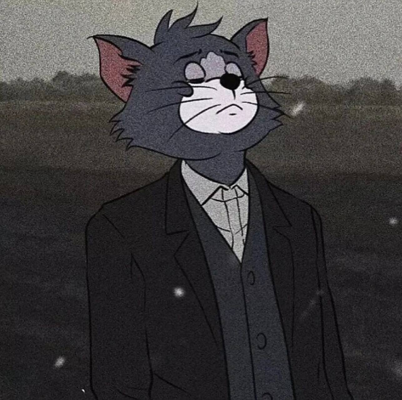 汤姆 汤姆头像|超酷的bo62y 丧气汤姆西装头像 高冷帅气的汤姆猫tom