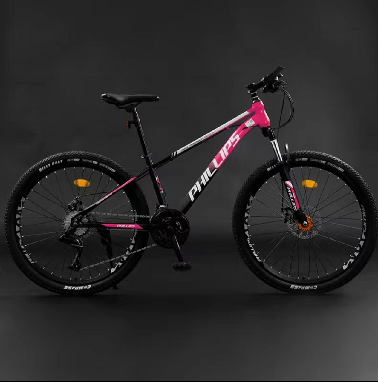 出最新款菲利普自行车, 低于实体店100出,帮我表哥走个单,带头盔,车锁