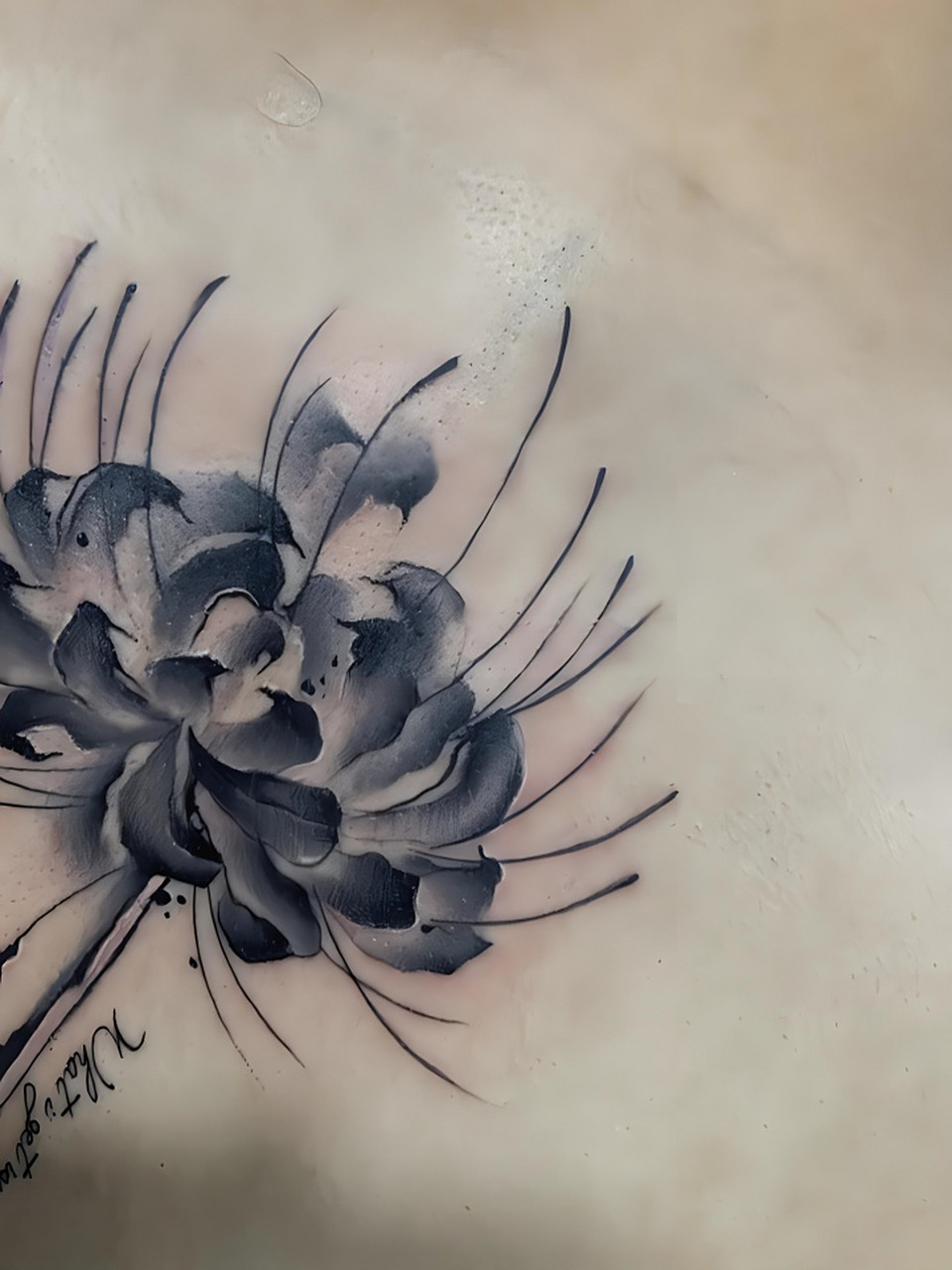 在这繁华世界,让彼岸花纹身成为你独特的印记,引领你穿越生死轮回