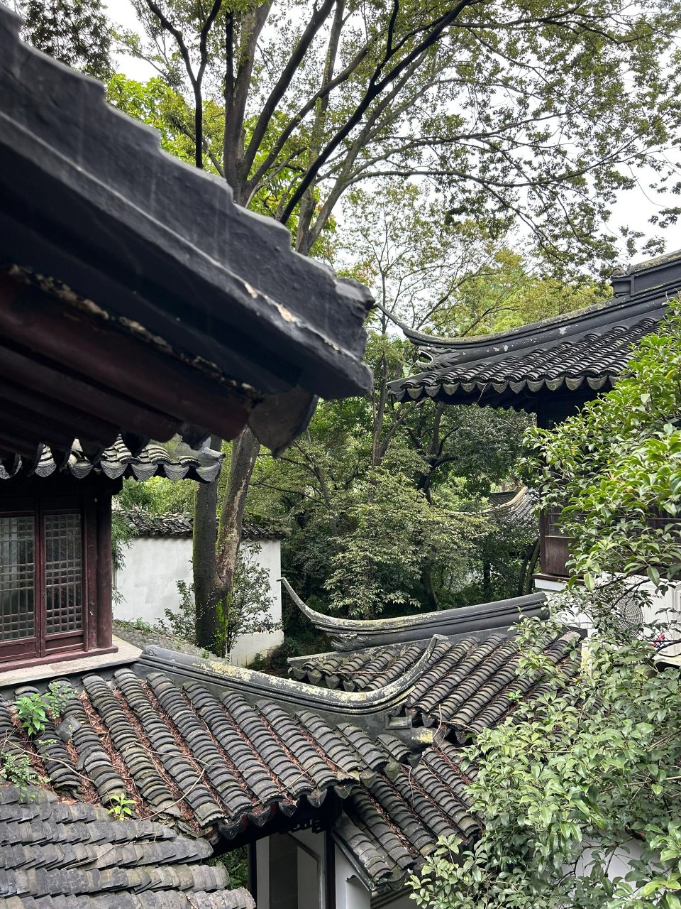 天平山风景区一日游攻略 94门票:30r/人    学生票半价 94出行