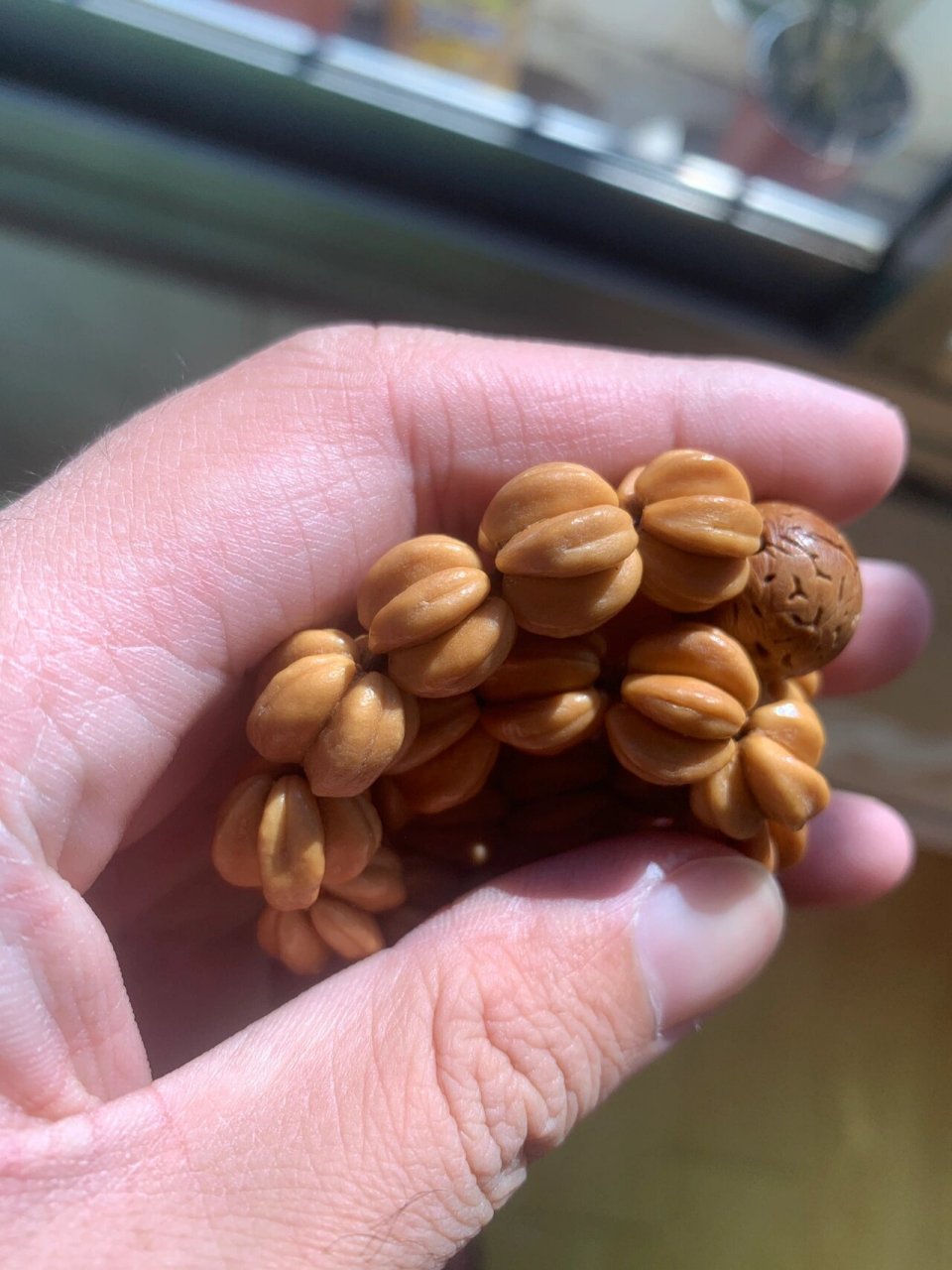 0元入手文玩——山楂核,也叫五福籽 找个山楂树,快熟还没熟的时候摘