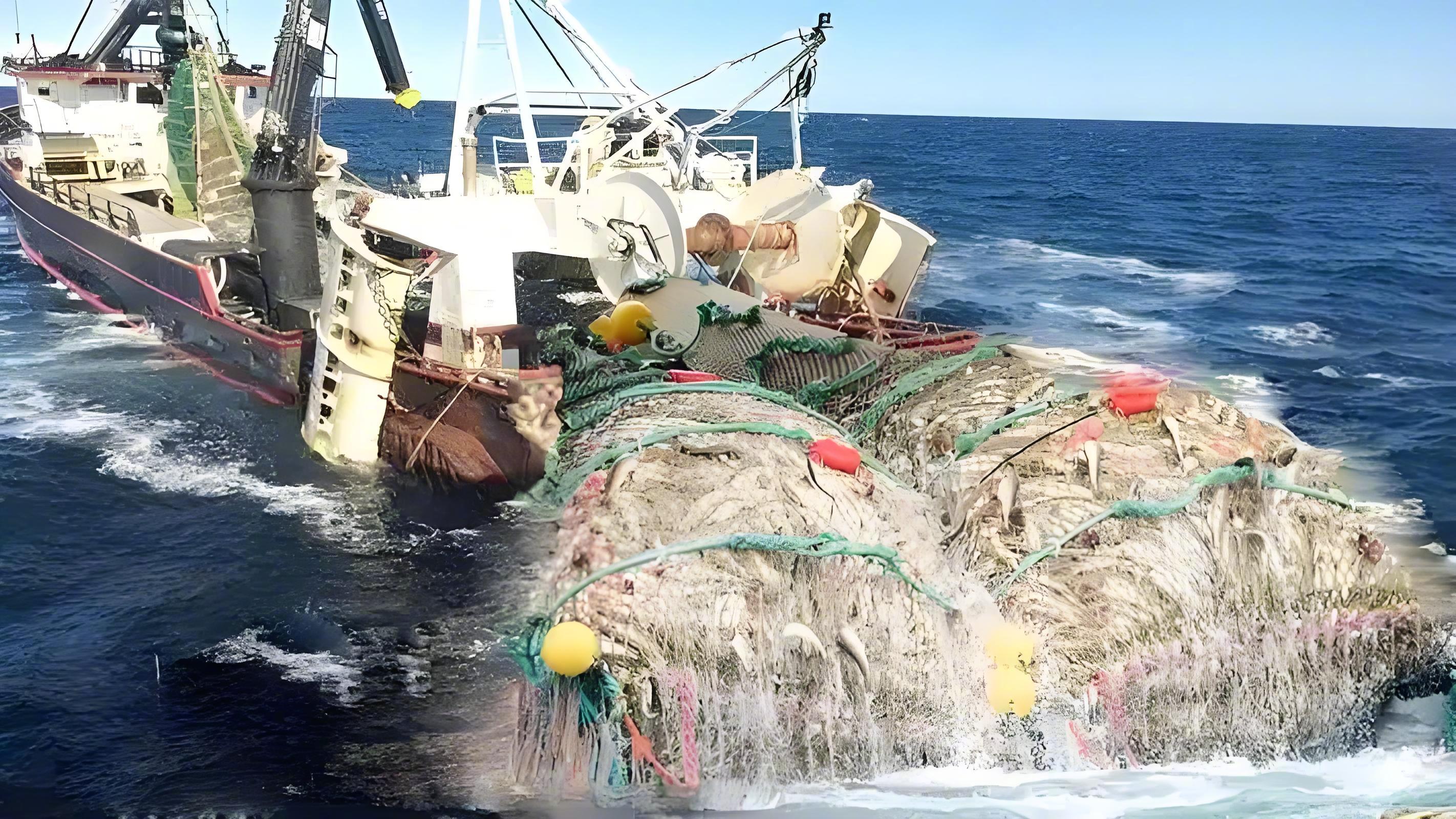 违法率最低的国家没蚊子没小偷差人闲得发慌最大举动是抢鱼