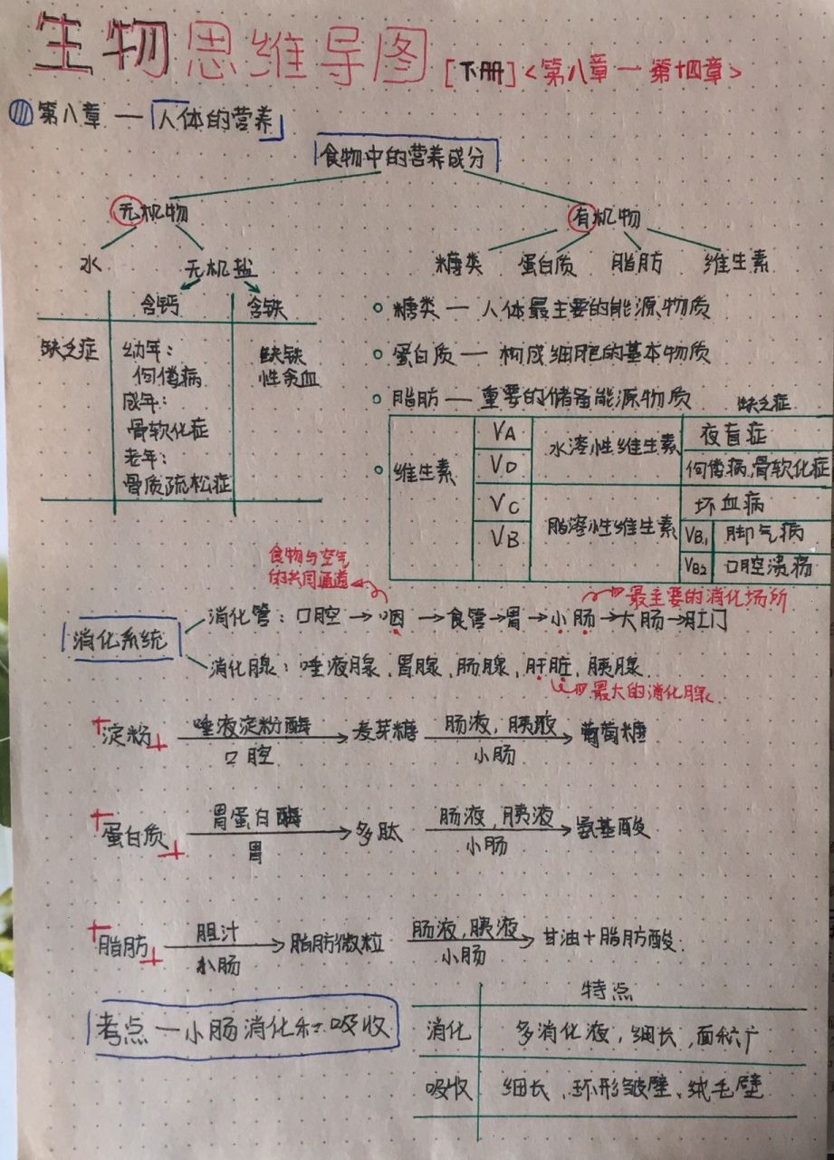 生物七年级下册全书思维导图     原创笔记