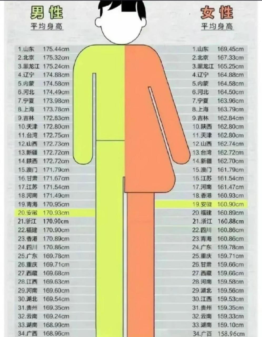 男女平均身高表图片