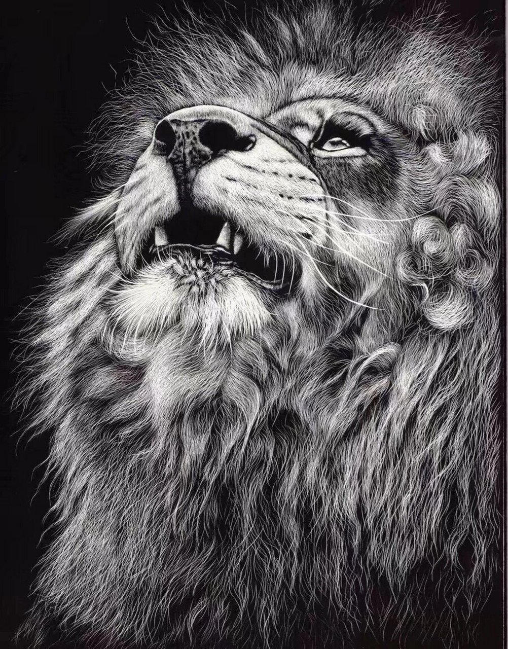 绘画素材 | 素描动物手绘