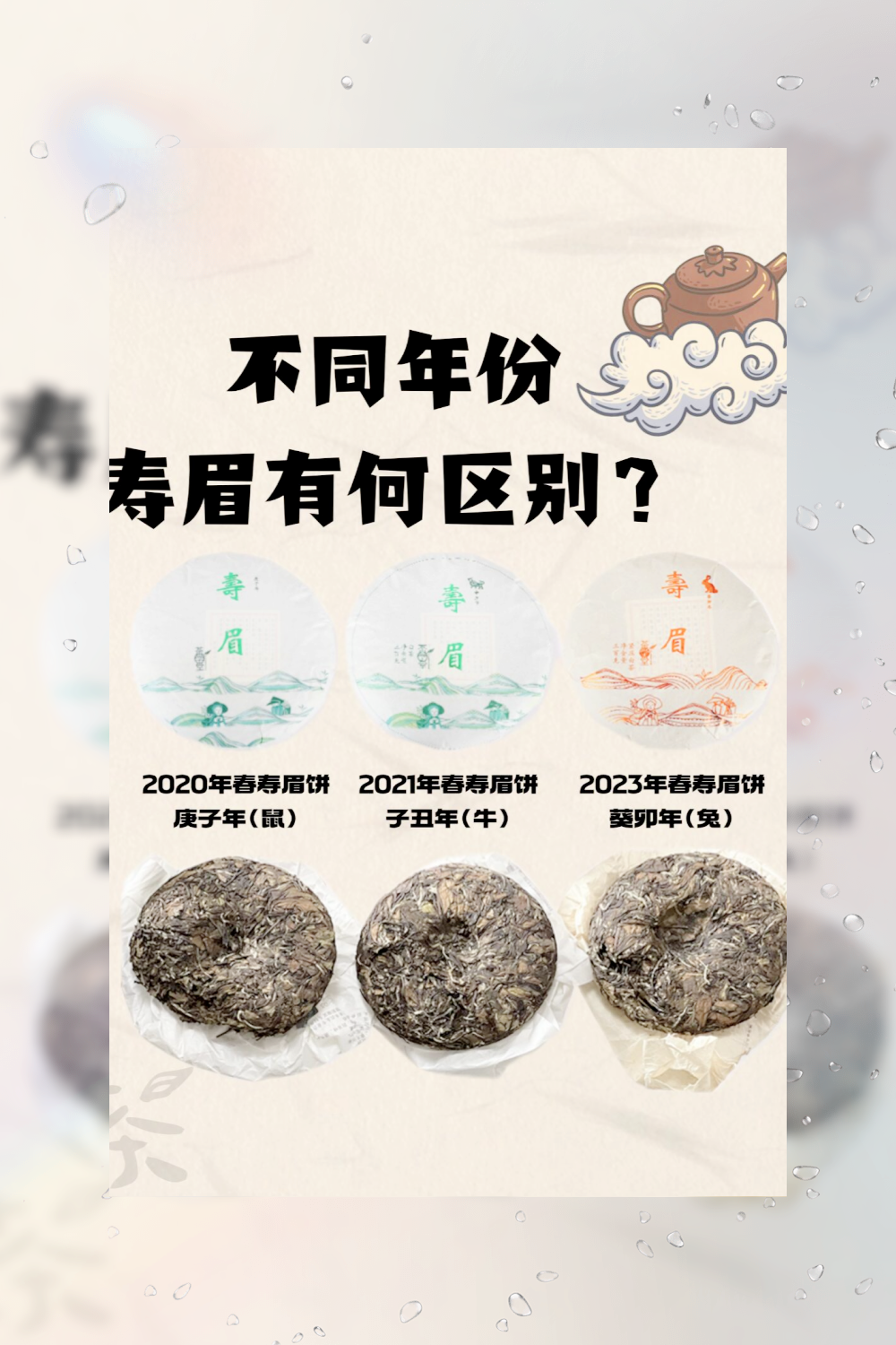 2020 年的寿眉,宛如一位优雅的老者.