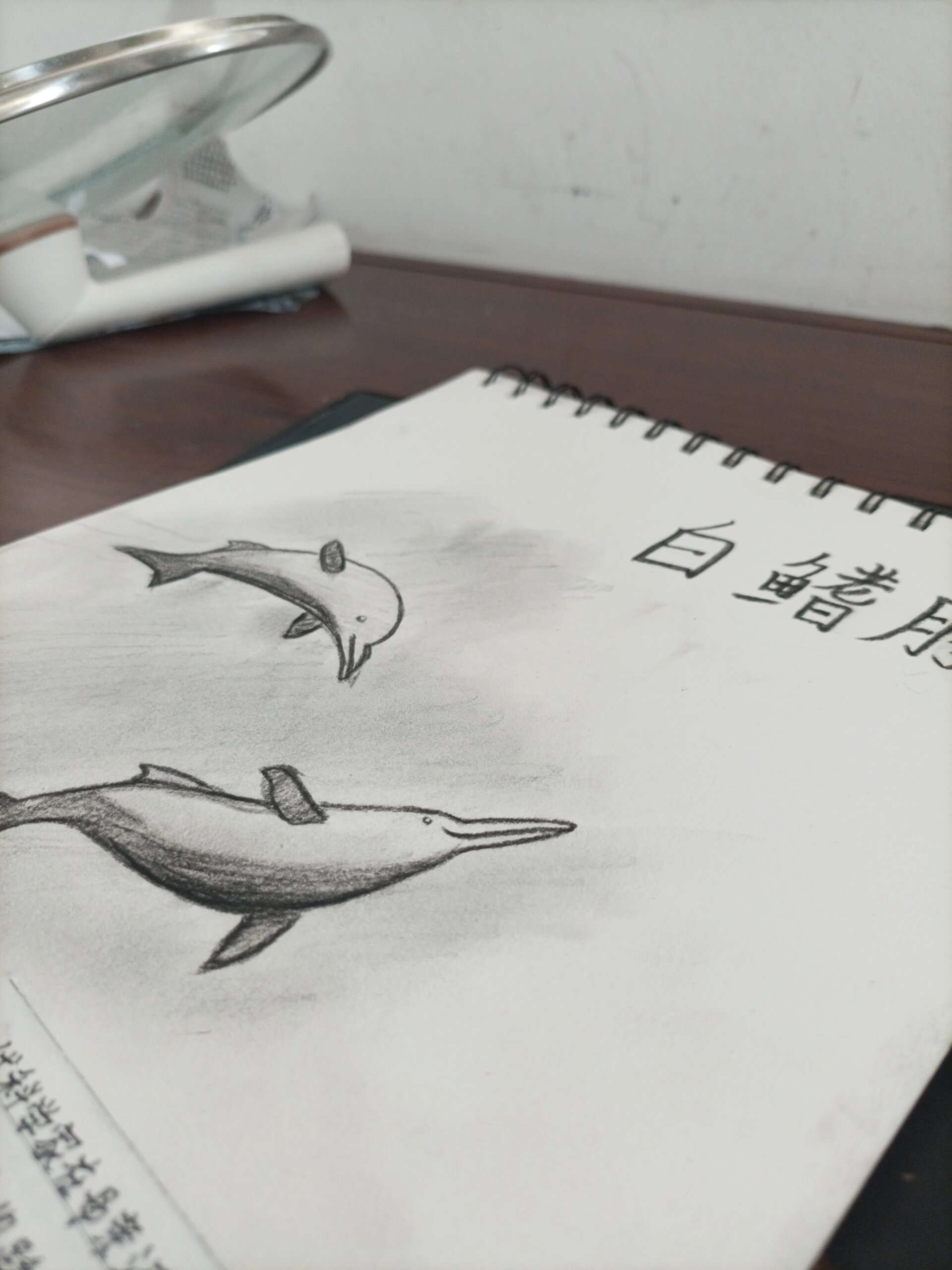 绘画——白鳍豚