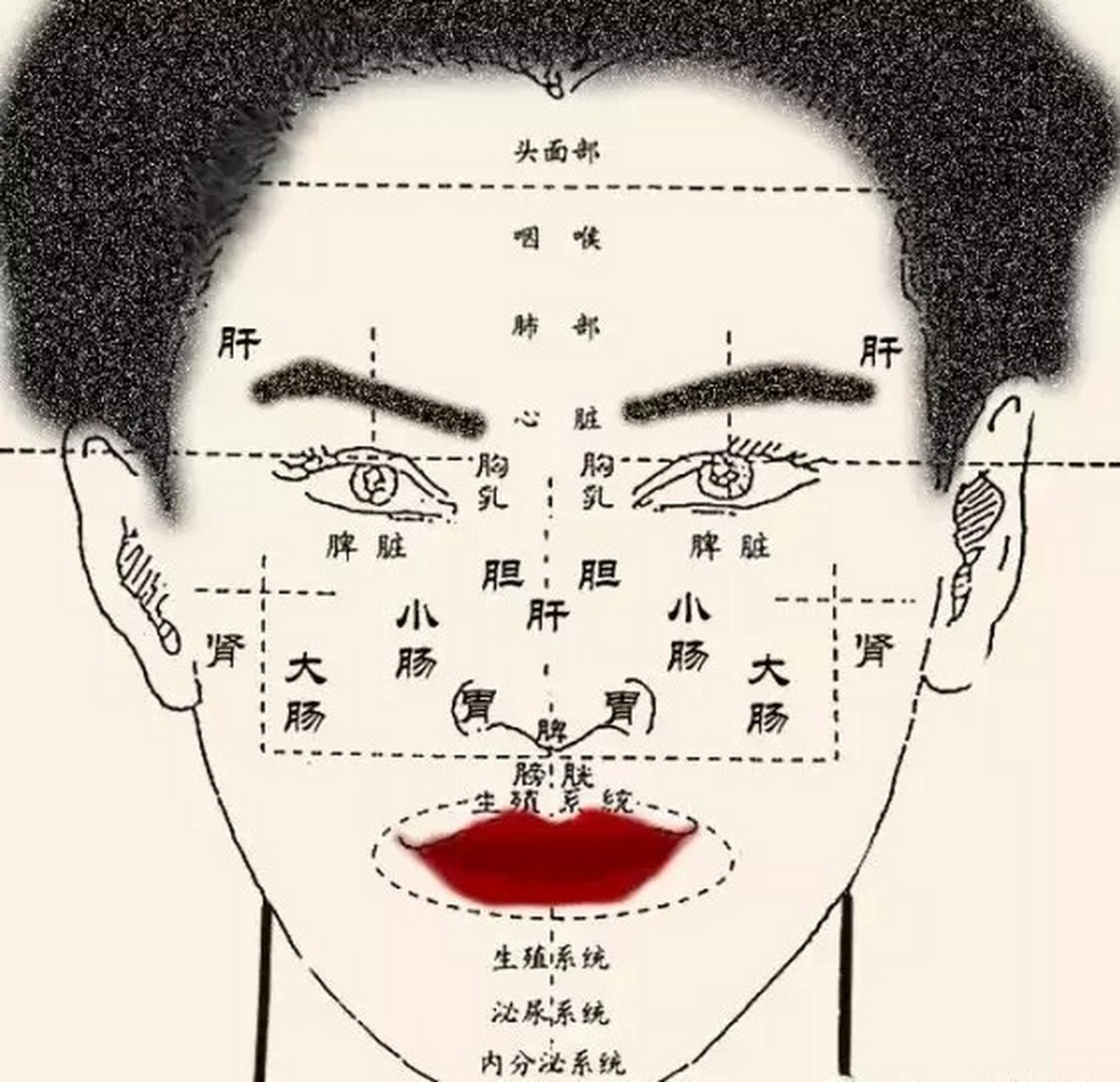 面 诊 口 诀 额头火星有斑痣:三横纹向(额头部位横纹深,精神压力大