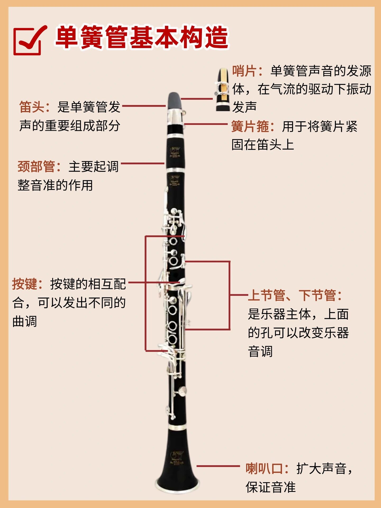 管乐器名称图片