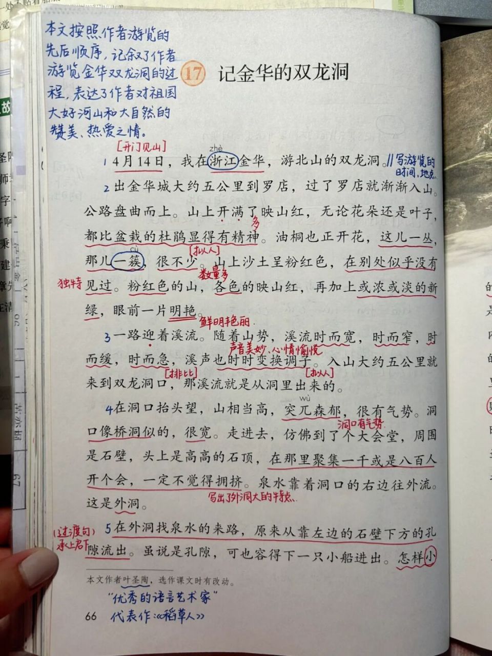 四下语文课堂笔记|第17课 记金华的双龙洞 #小学语文# #四年级语文