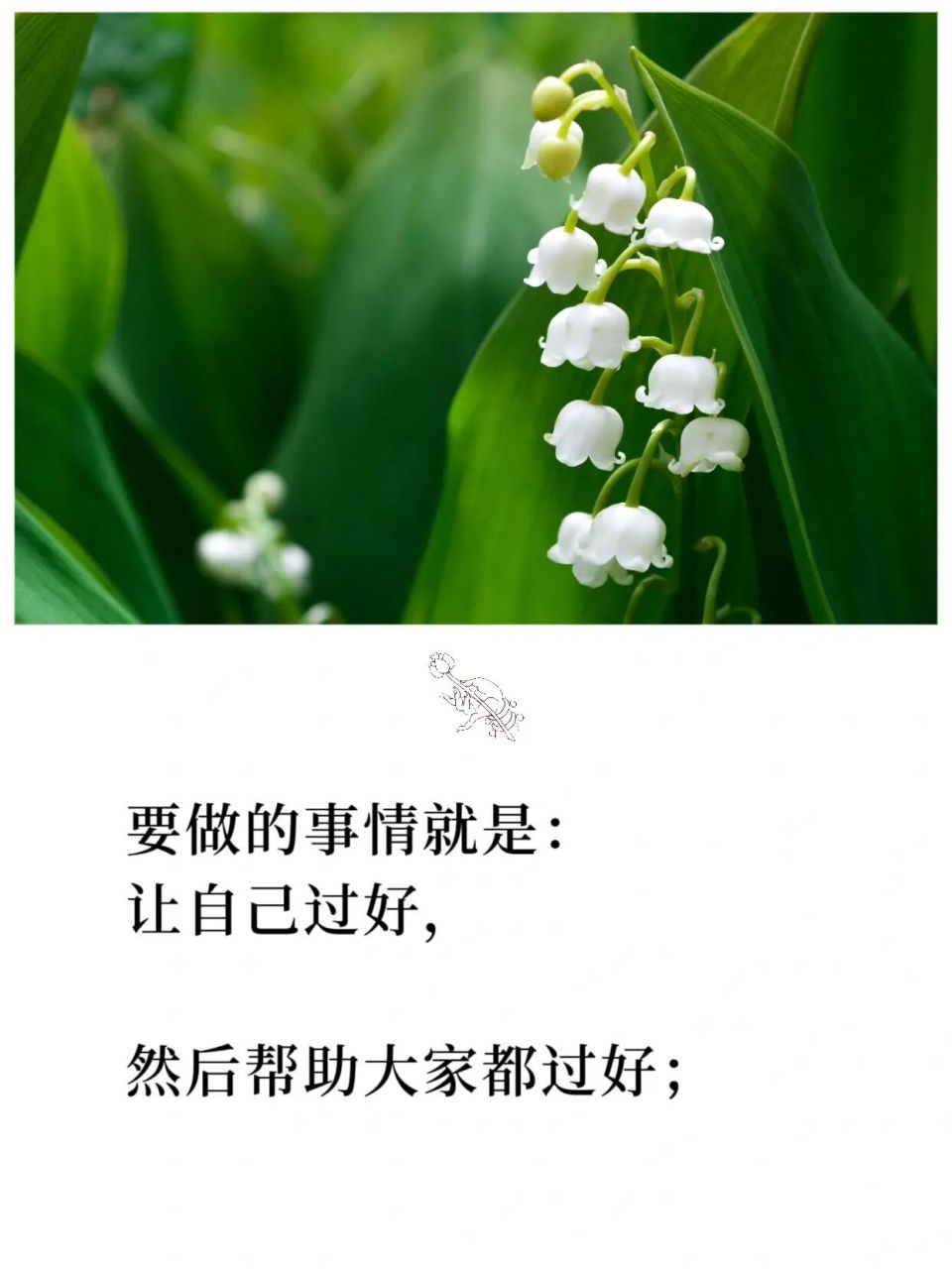 自己过不好,也希望别人过不好,是不对的 #禅悟人生