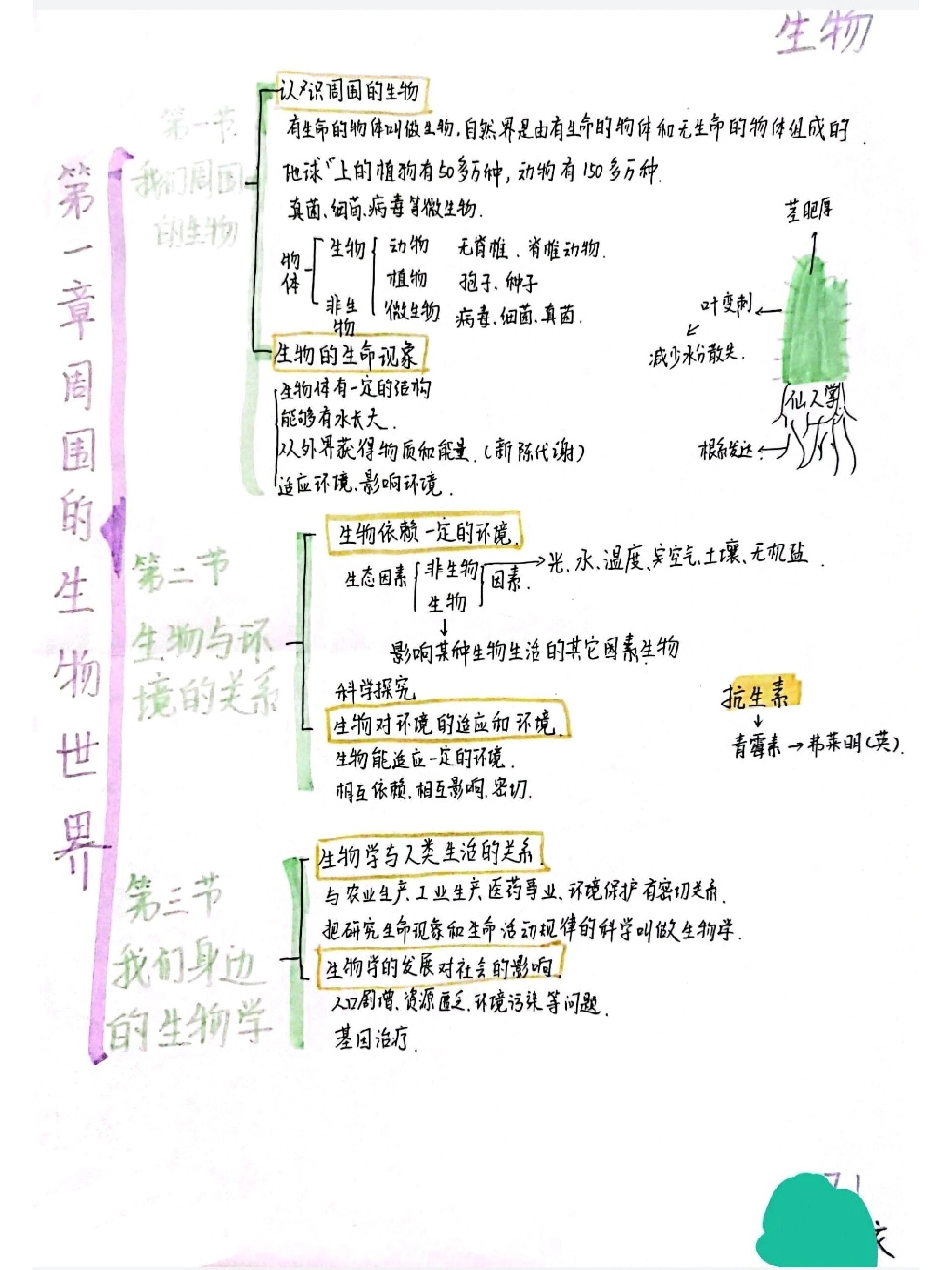 七上生物苏教版第一章思维导图