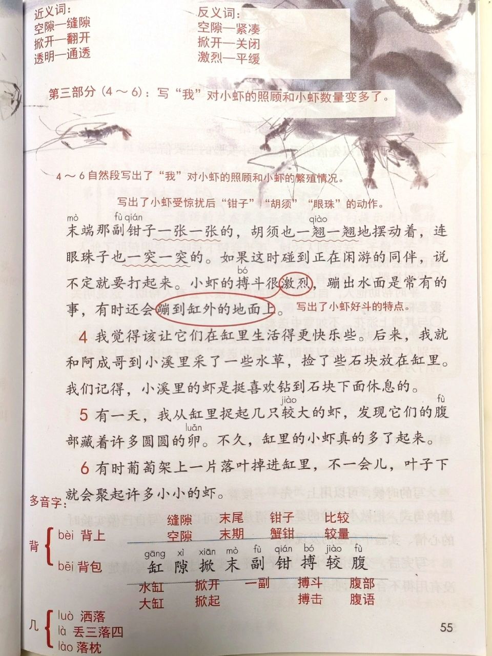 719915三下语文课堂笔记第15课《小虾 三年级下册语文课堂