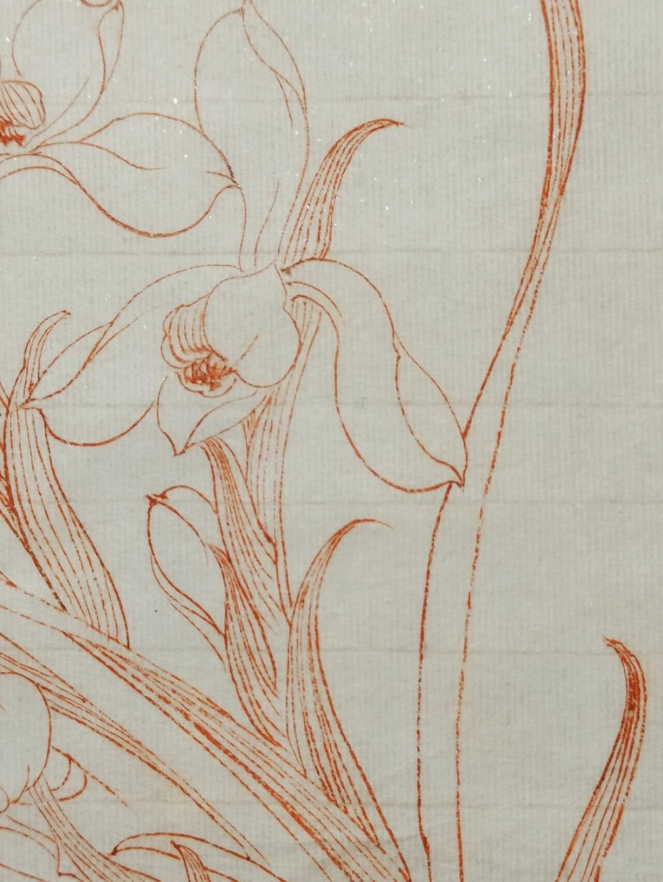 每日一练|白描花卉～兰花 #白描