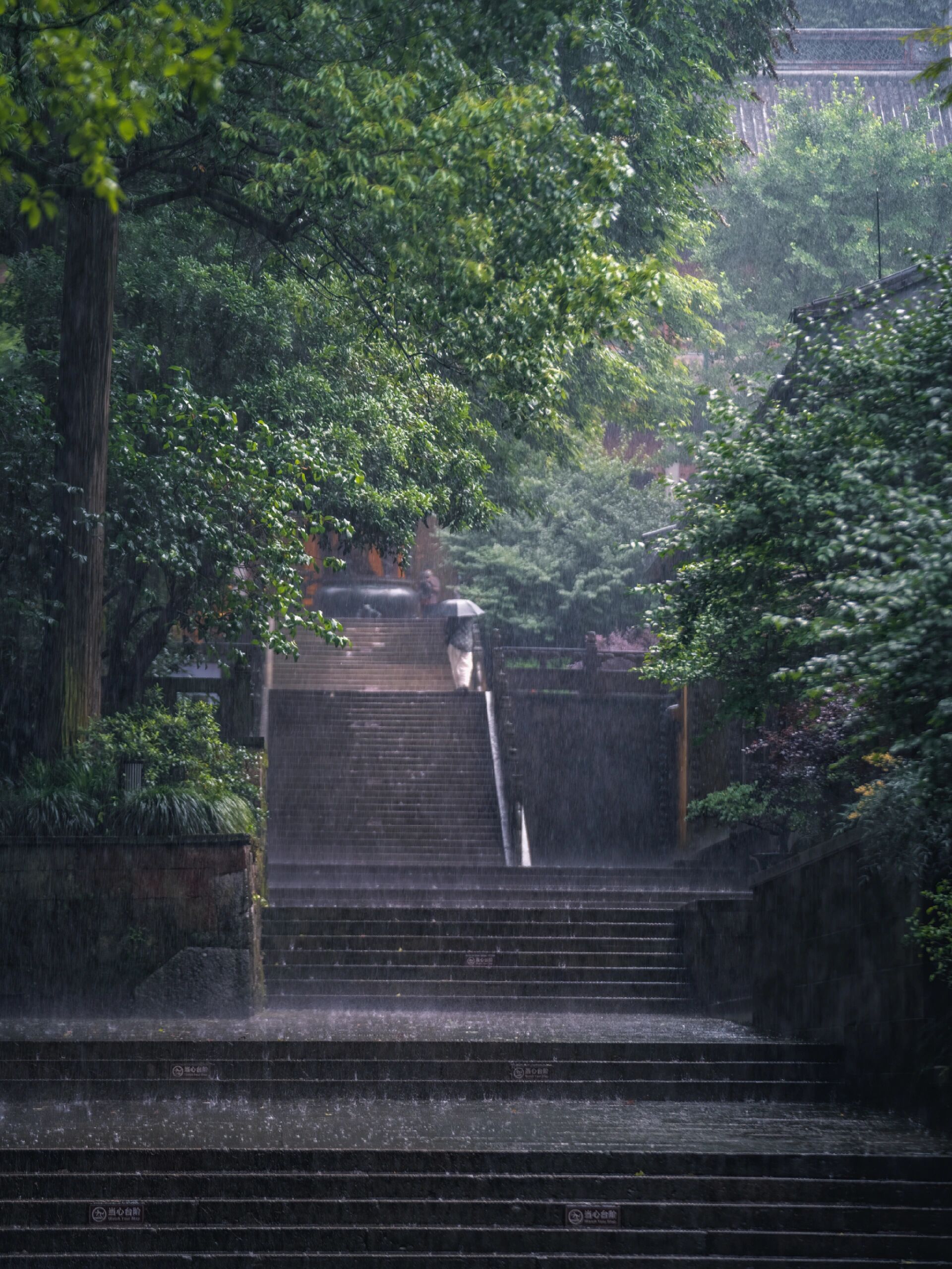 灵隐寺的雨,是我见过最有禅意的