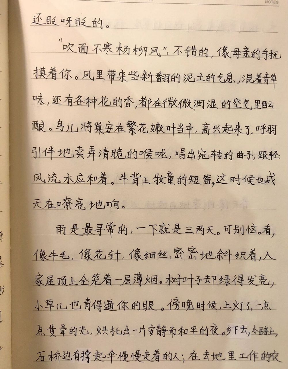 春天的美文摘抄图片