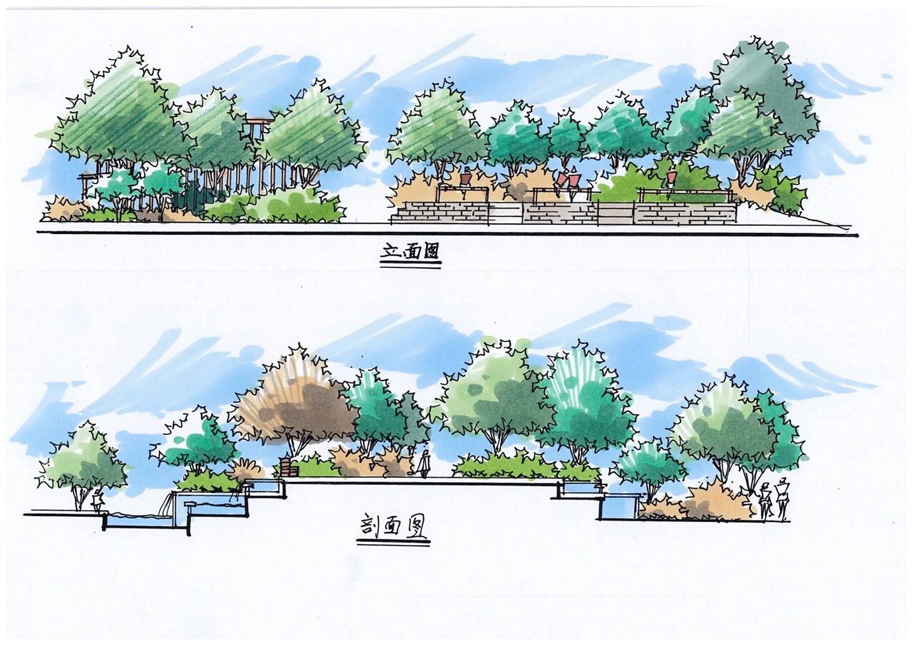 景观|立面图 剖面图