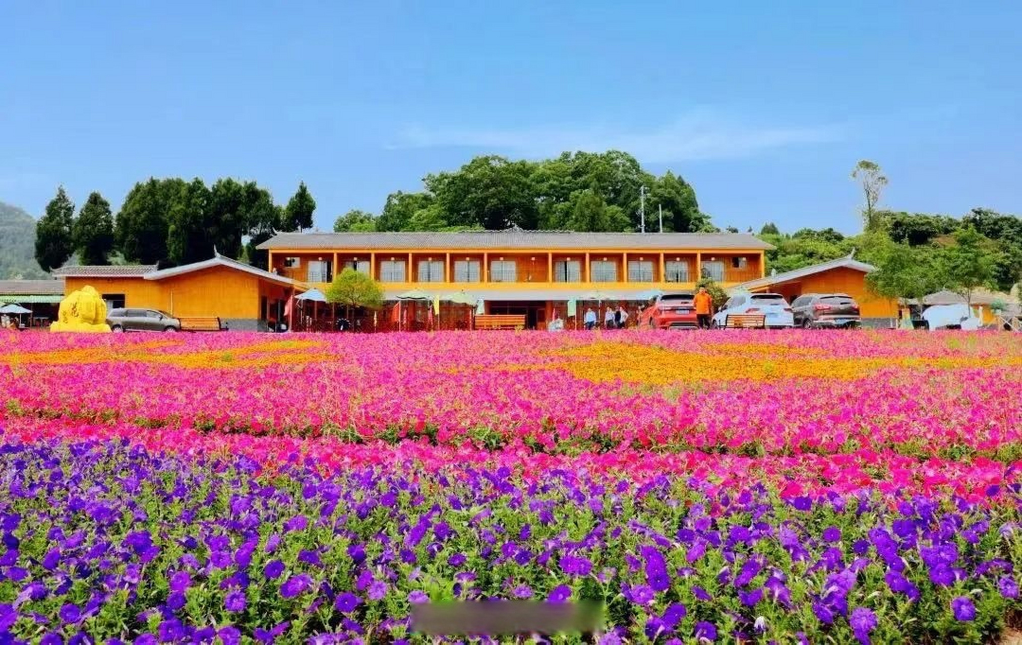 宣汉花仙谷图片