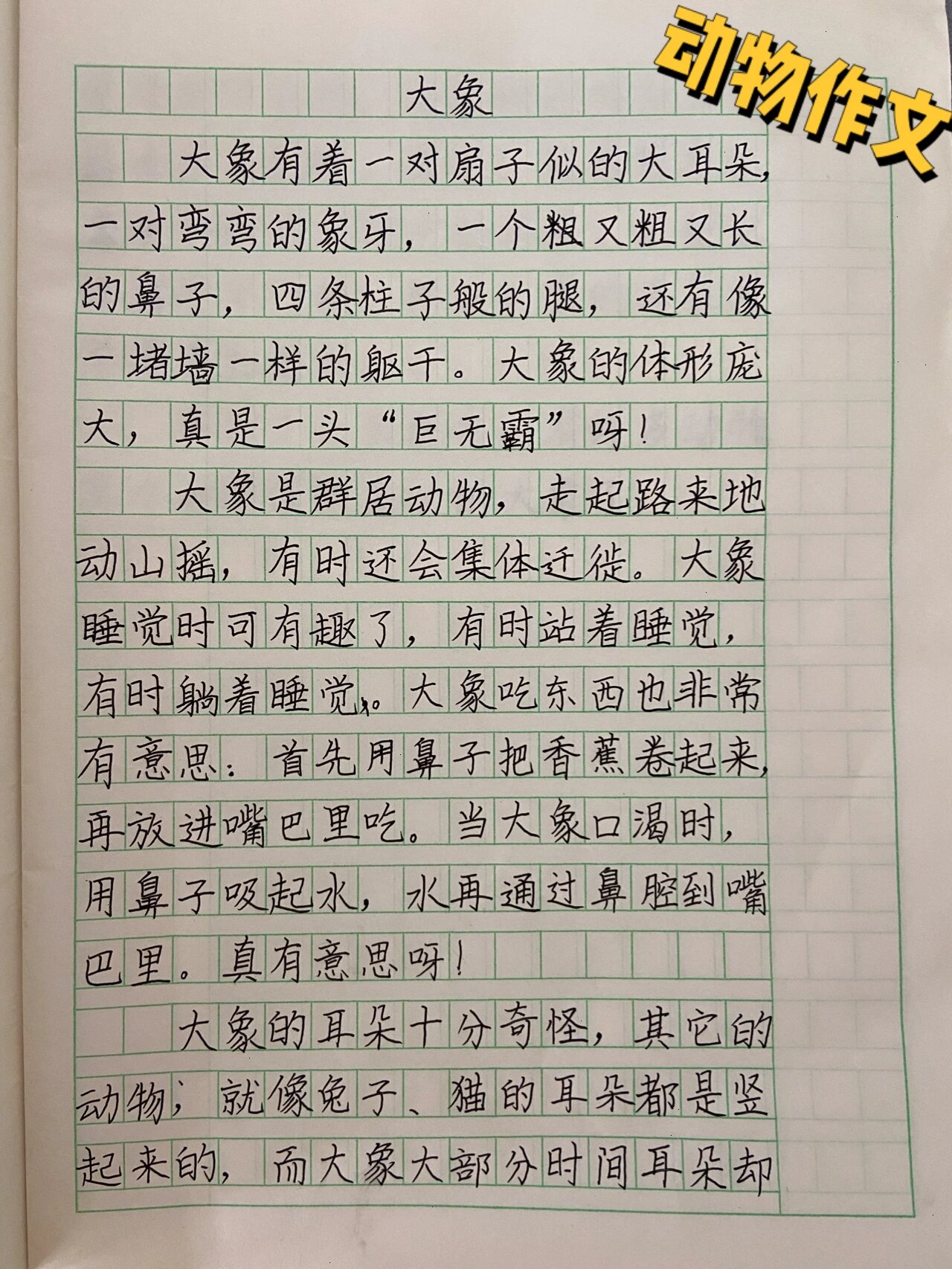 写动物的作文图片