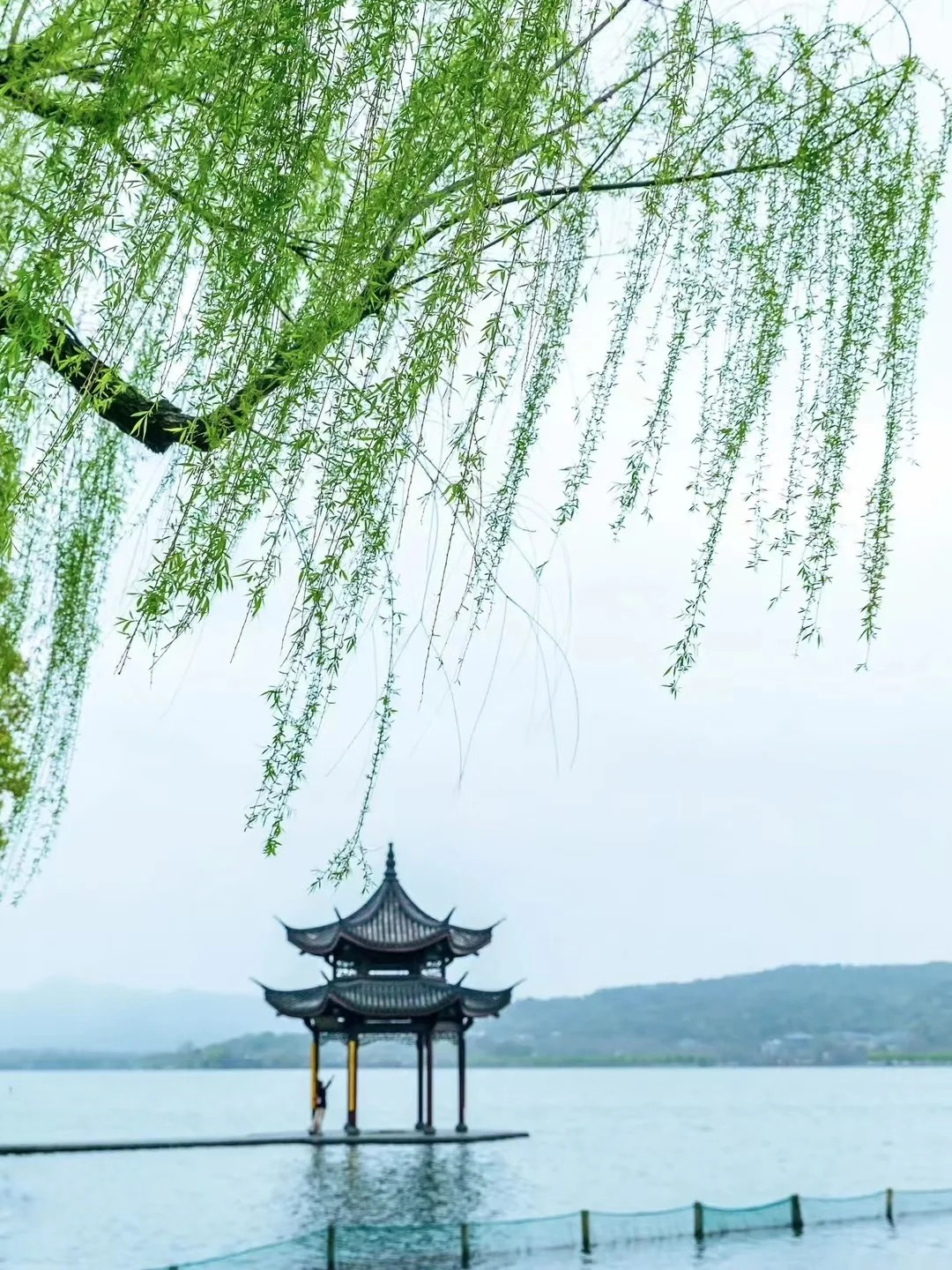 春风的图片大全