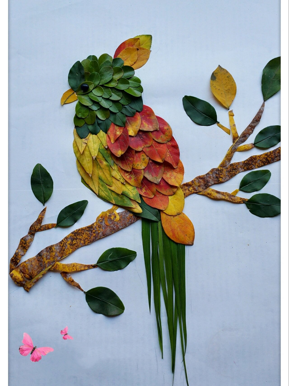 树叶贴画# #鹦鹉