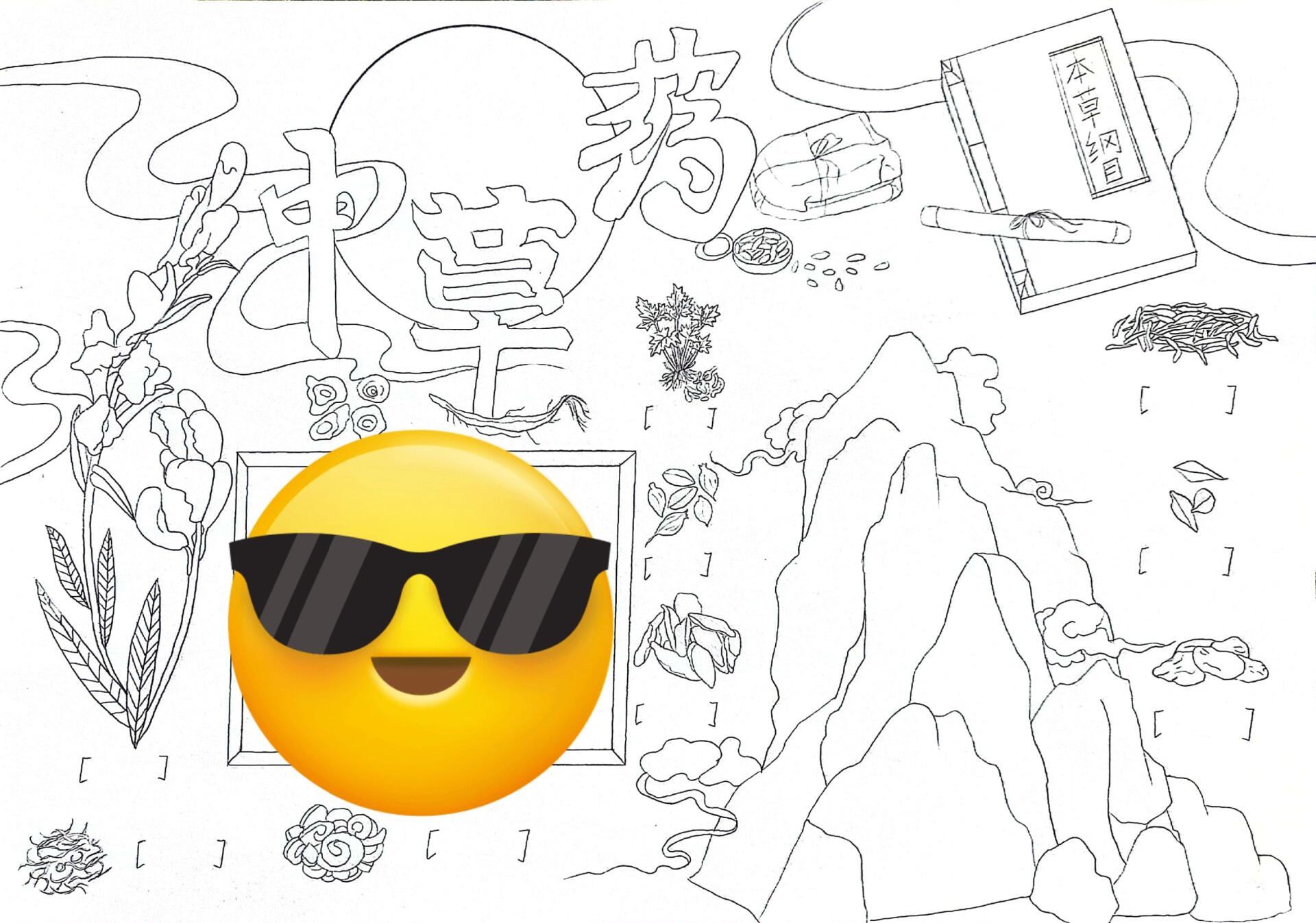 中草药手抄报线稿可打印原图