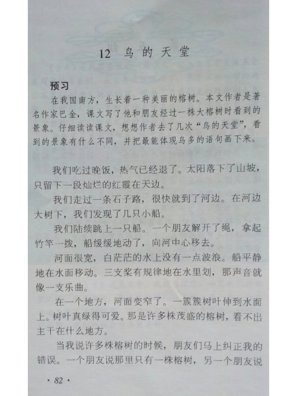 90年代小学语文课文《鸟的天堂》 90年代小学语文课文《鸟的天堂》
