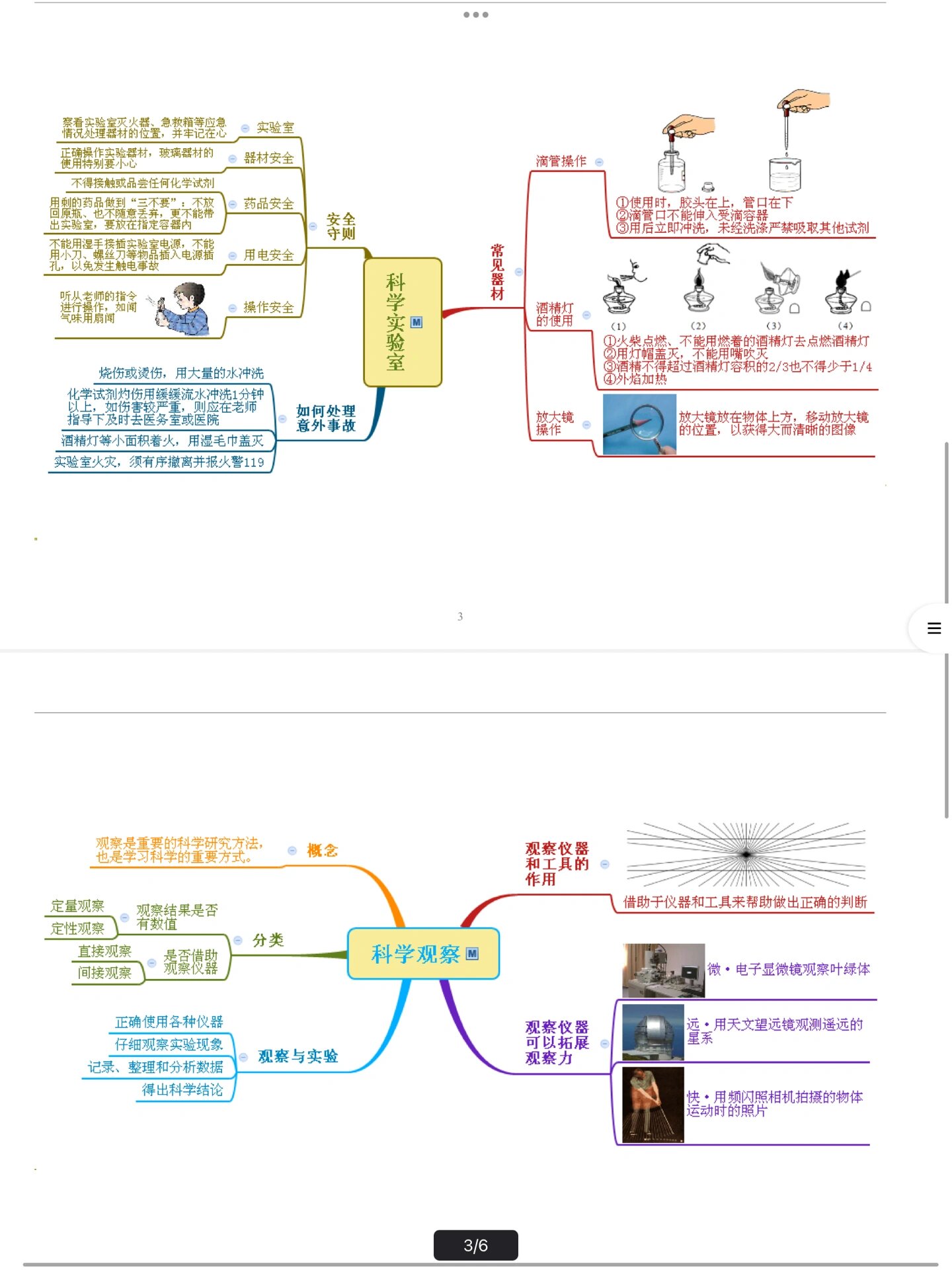 思维导图科学初一上册图片