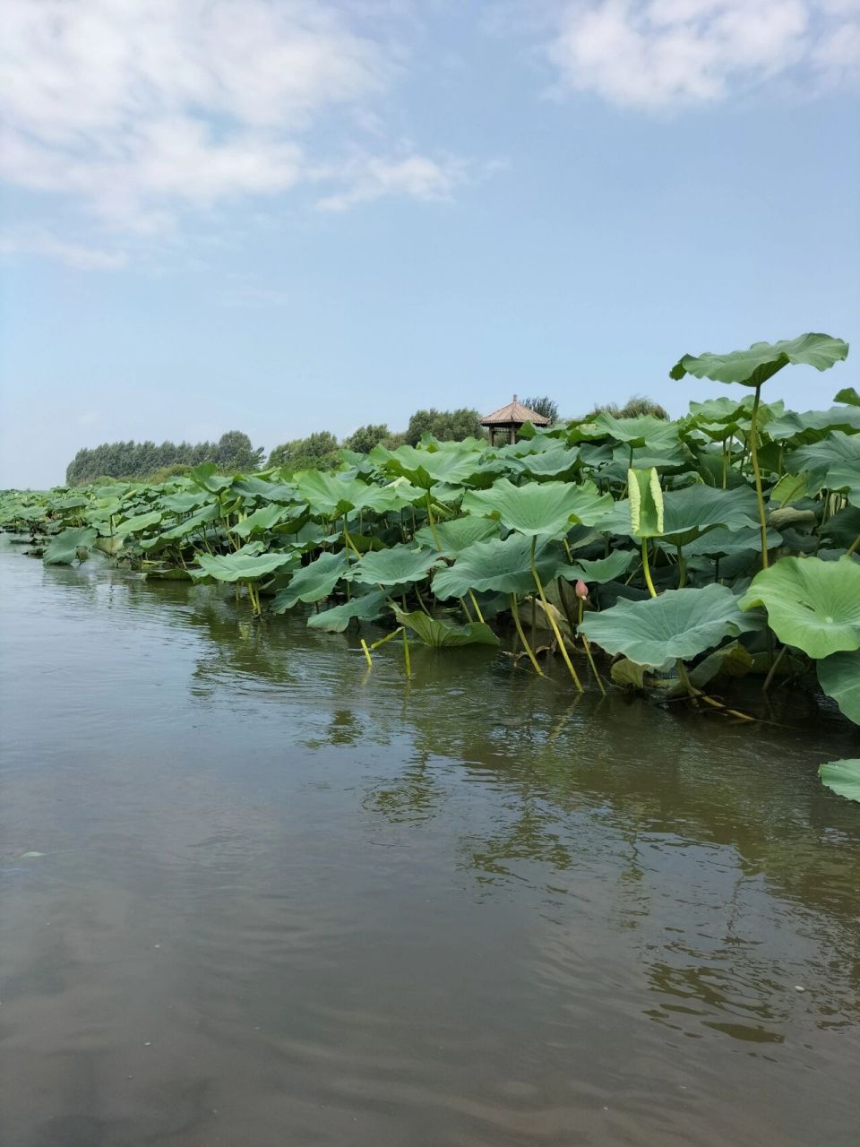 辽宁省内游|新民仙子湖(沈阳西湖珍珠湖) 同一个地方可以搜到好几个