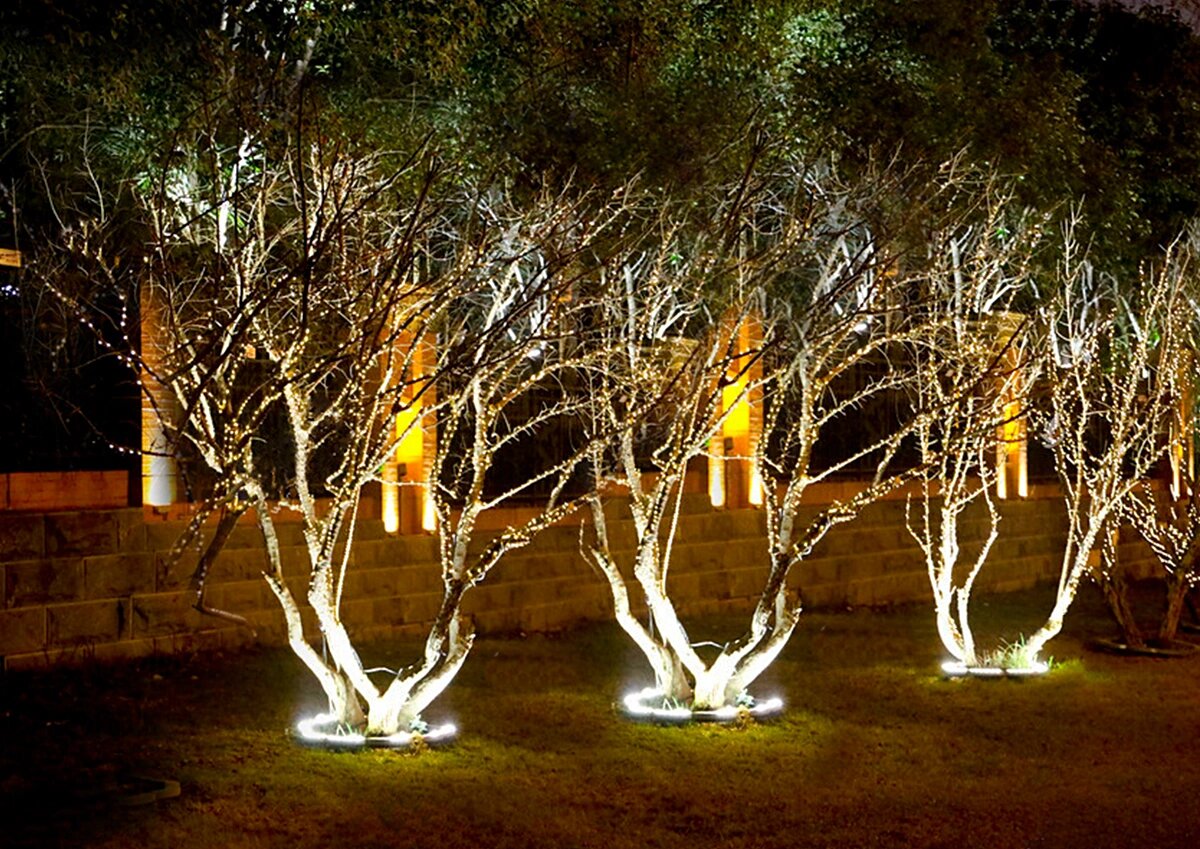 树上的绚丽灯光,夜晚的地标照树灯