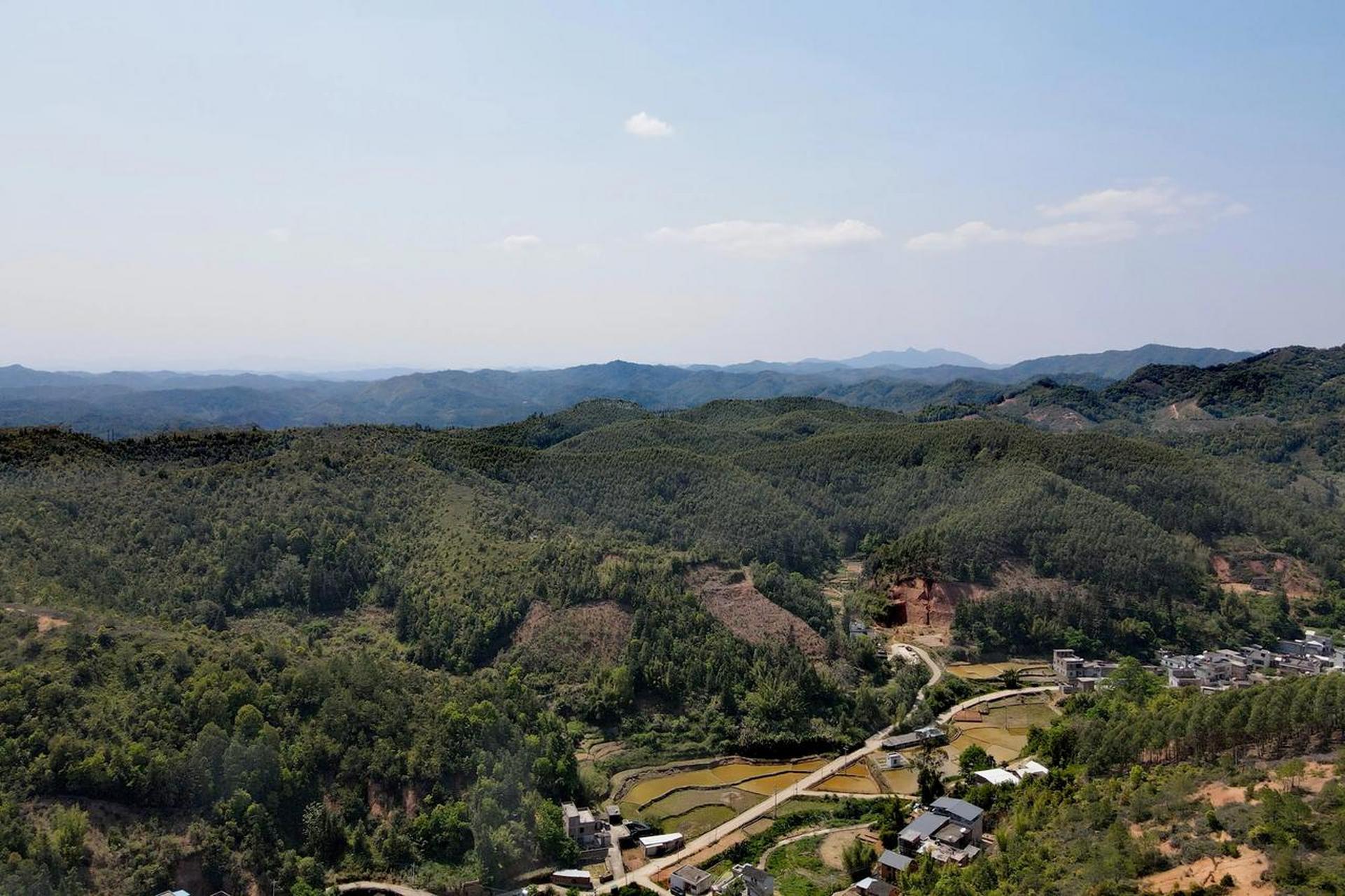 这是我的家乡河源市和平县贝墩镇下溪村,一个并不美的地方,却是我出生