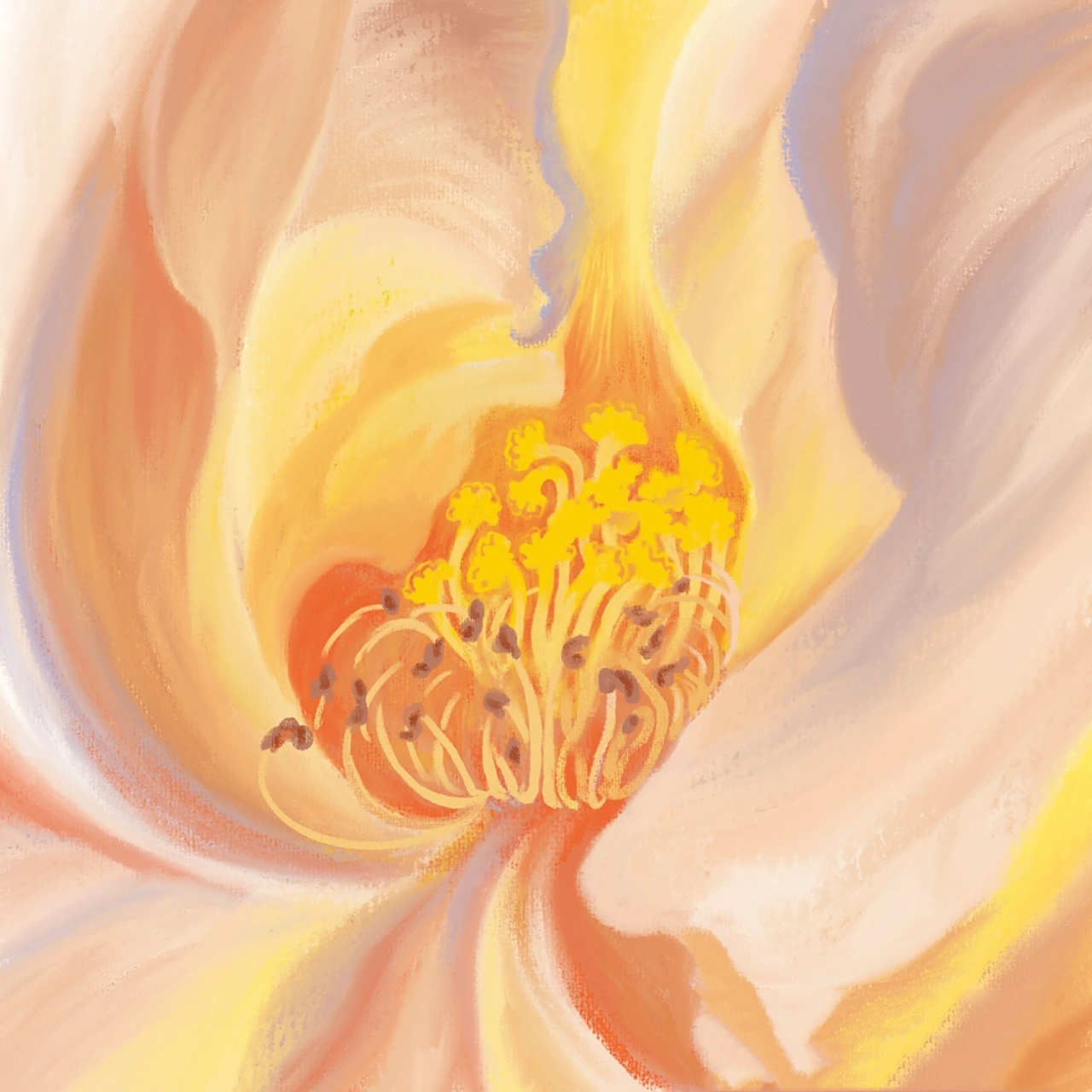 月季的雌蕊像一只只展开指头挥舞的小手 月季的雌蕊像一只只展开指头