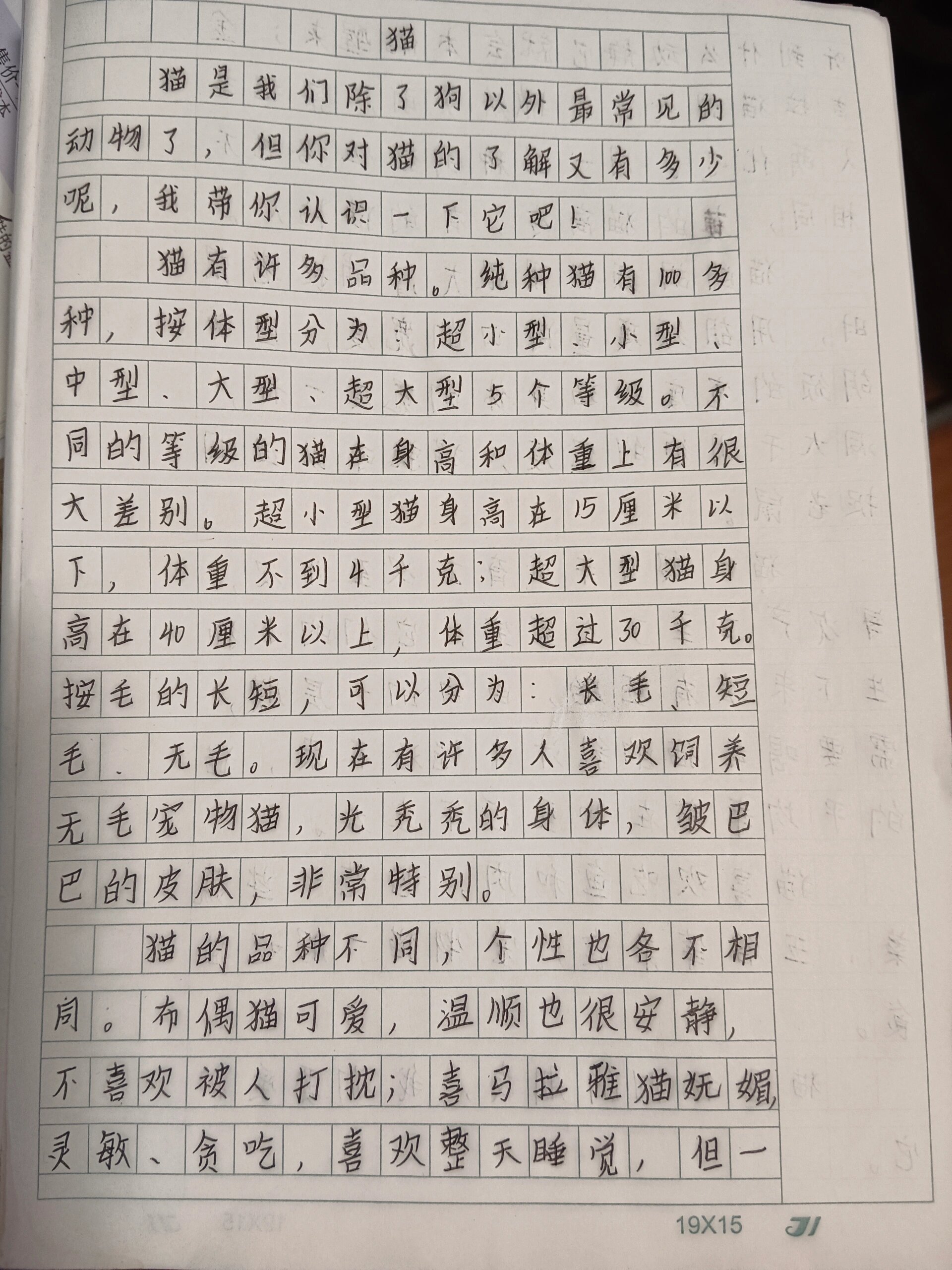 优秀作文五年级图片