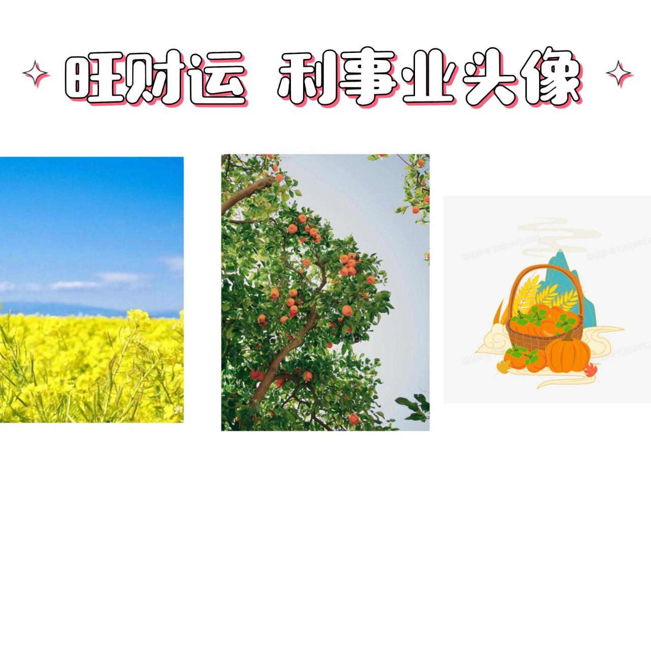 【头像】有利于提升财运和事业运 有利于聚财,拓宽财路,利于事业发展