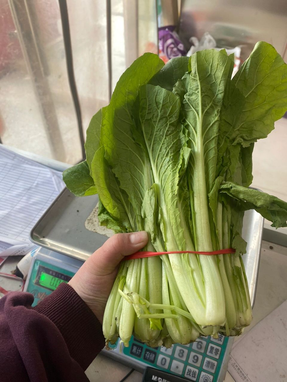 和上海青  唐菜是三种不同东西 图2是北方的小白菜   叶子带棱角 上面