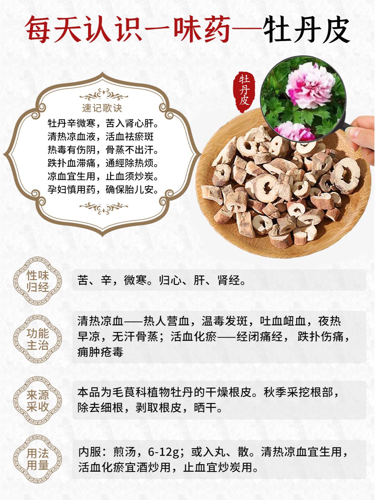 丹皮配伍大全图片