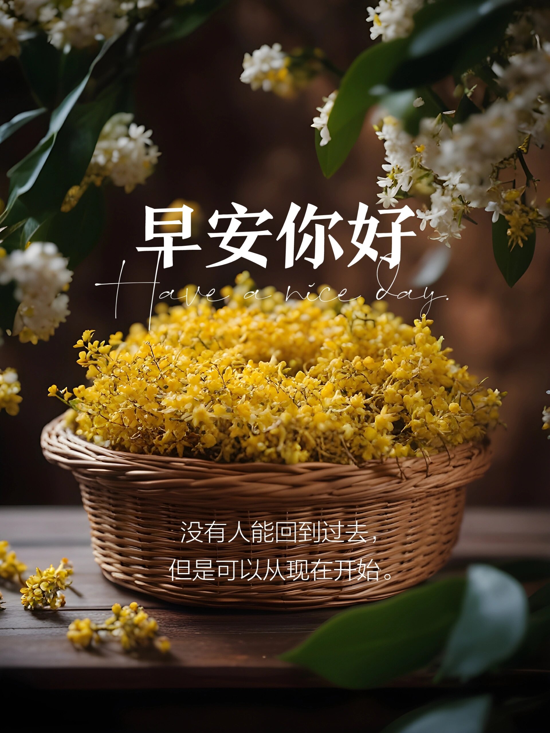 早安心语|新的一天适合发朋友圈的早安文案
