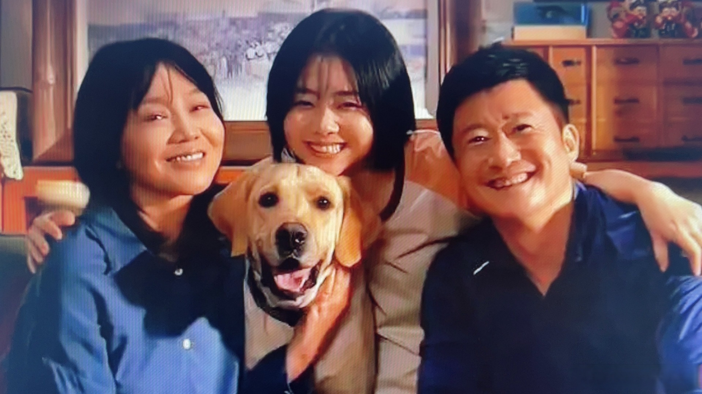 了两部电影,都挺好,《再见,李可乐》里由杨乐老师唱作的插曲《莎娜》