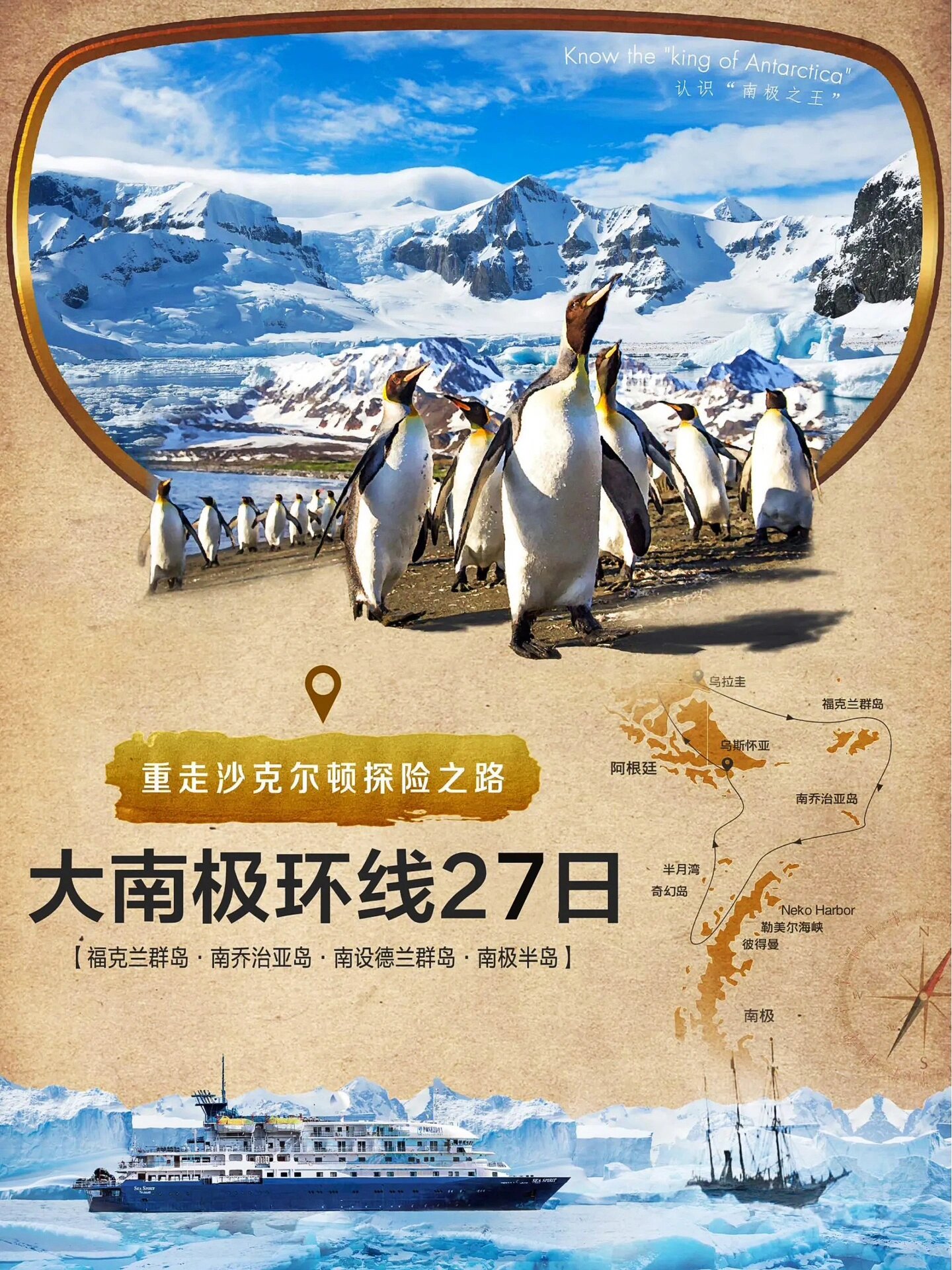 南极四岛王企鹅摄影巡游～60万王企鹅群奇观