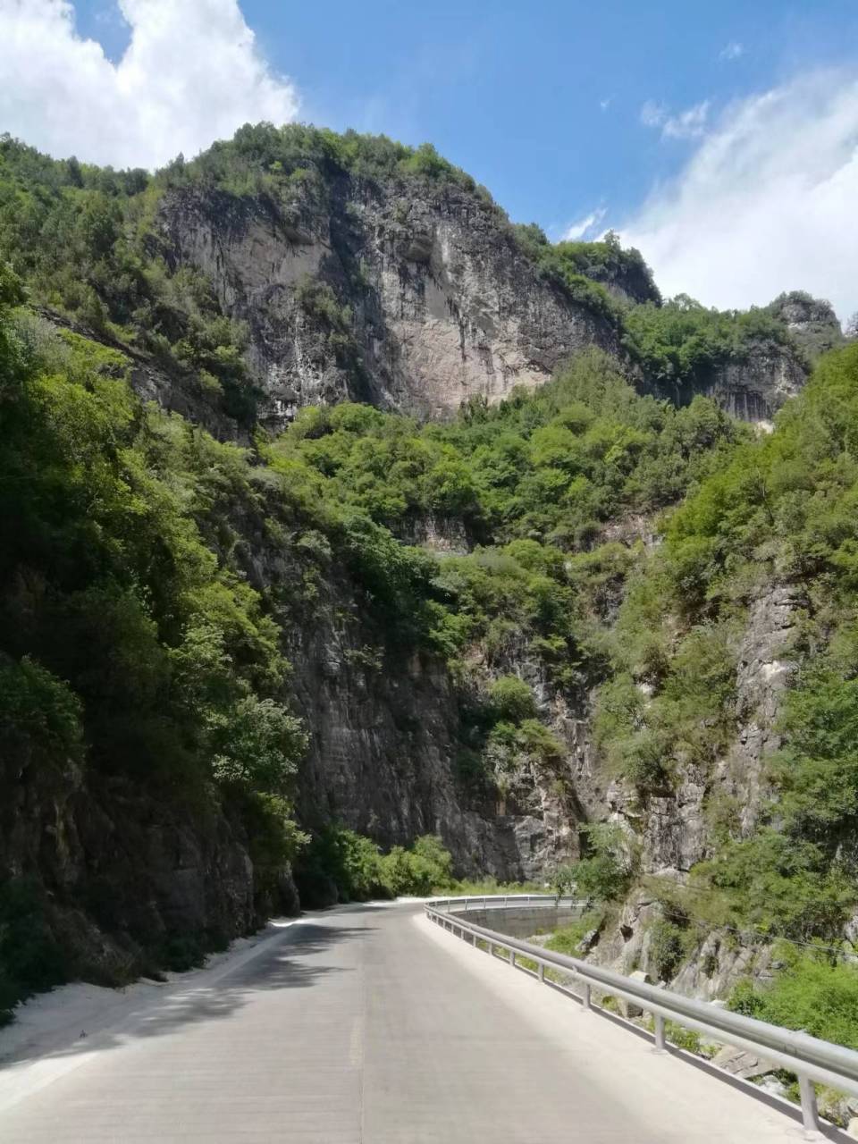 巴山大峡谷红豆杉栈道图片