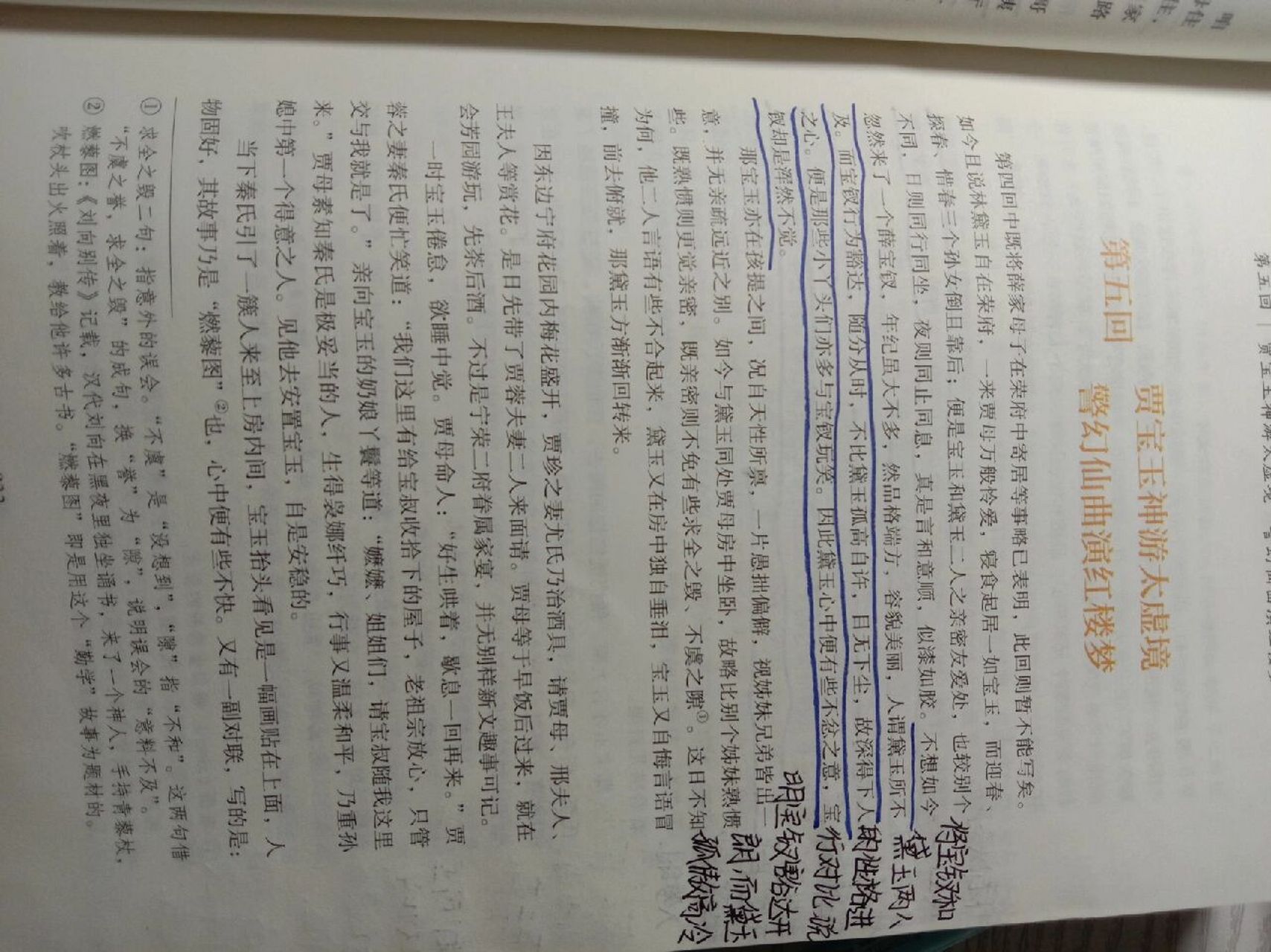 红楼梦批注第五回