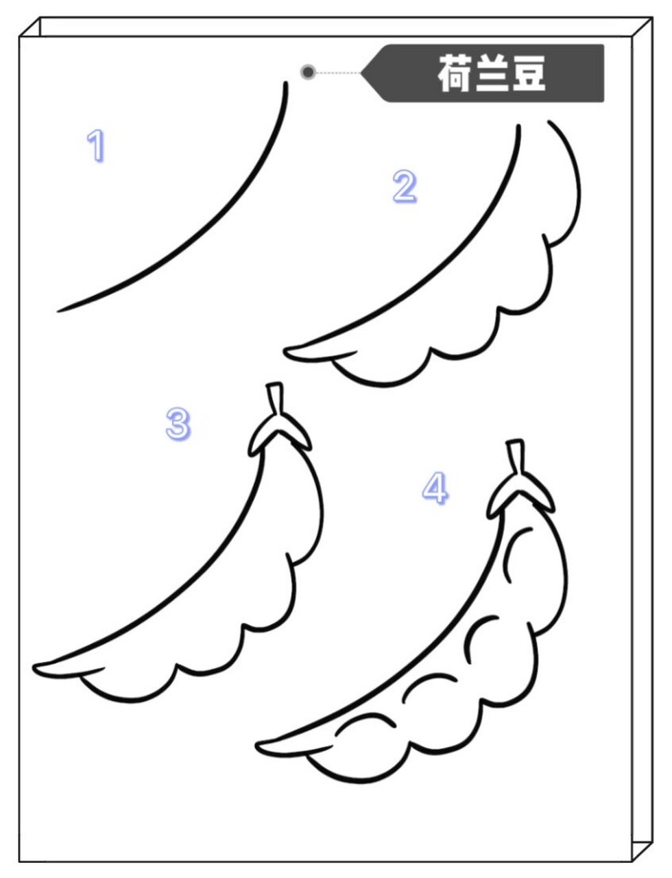 简笔画|荷兰豆 30/100