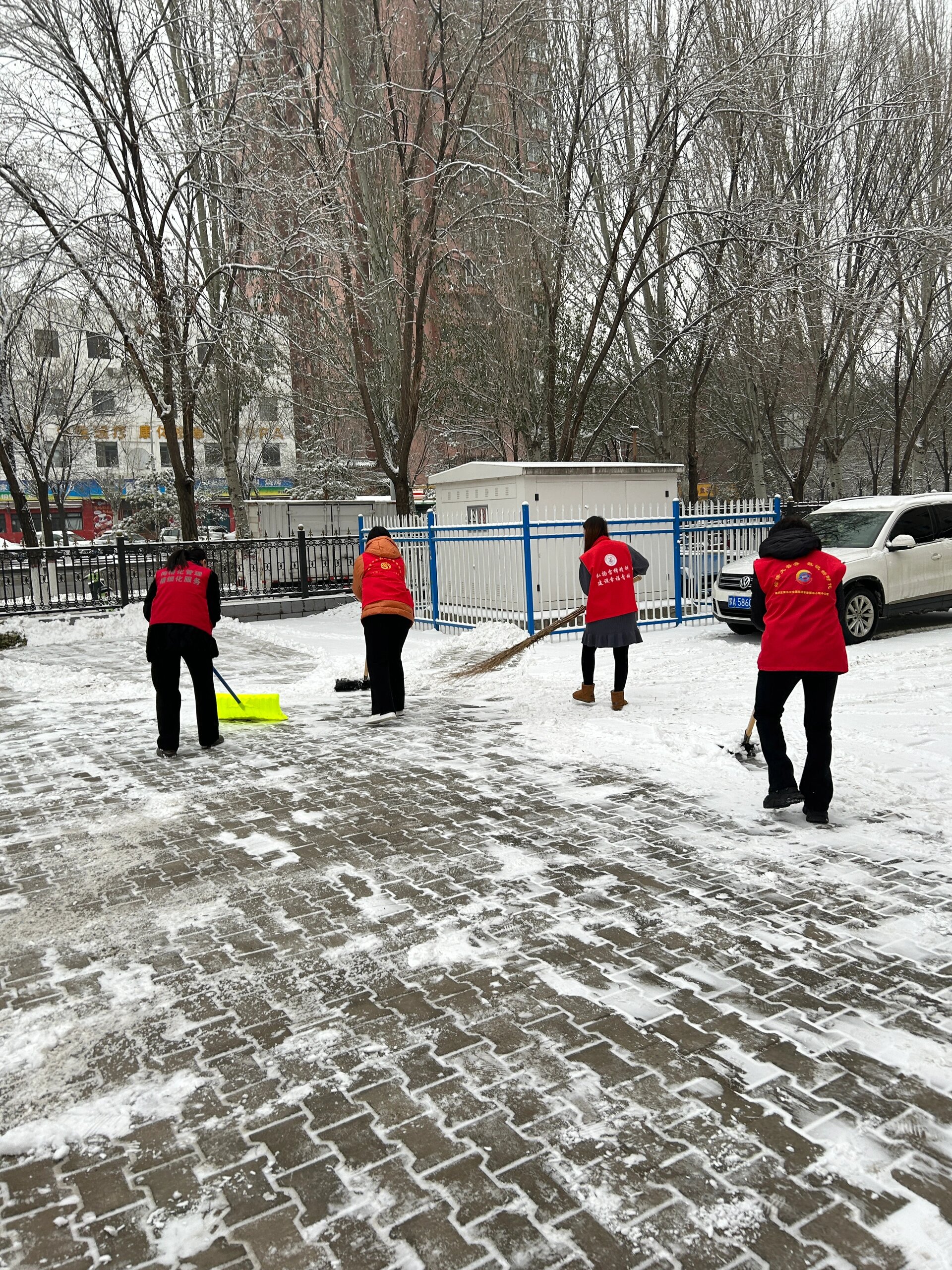 金丰社区新时代文明实践站扫雪除冰活动 为保障办事居民出行的安全