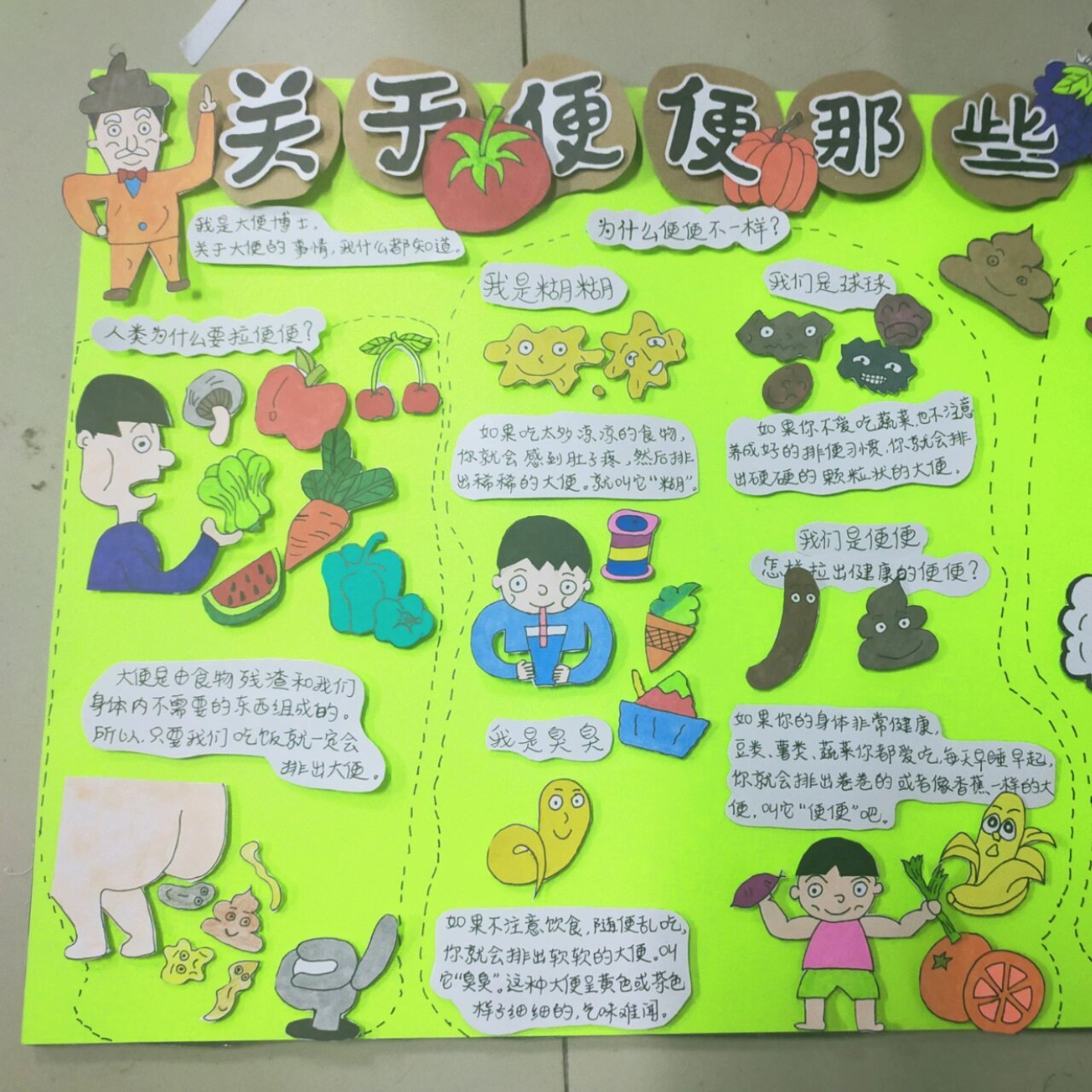 幼儿健康领域主主题墙:关于便便那些事 根据绘本《便便,糊糊,臭臭,块